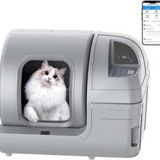 Pets