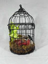 Cages