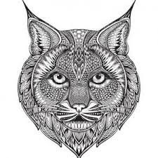 Wild
