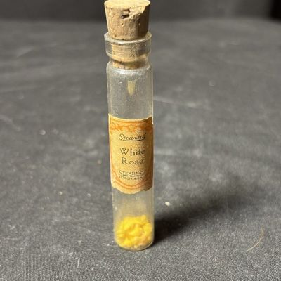 1880s Frederick Stearns Perfume Vial Tiny Micro Sea Shells Curiosity