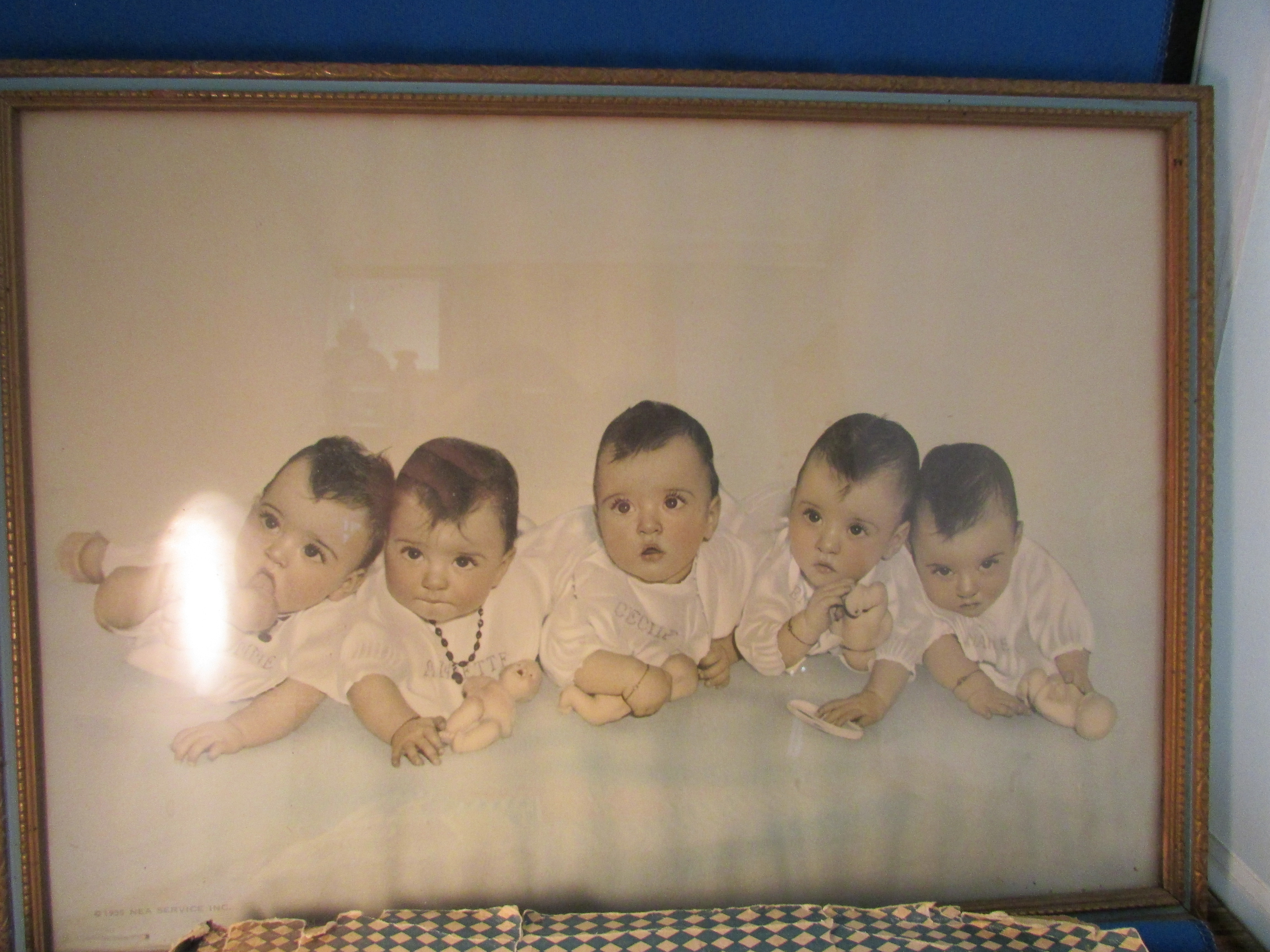 Picture and Scrapbook of the Dionne Quituplets