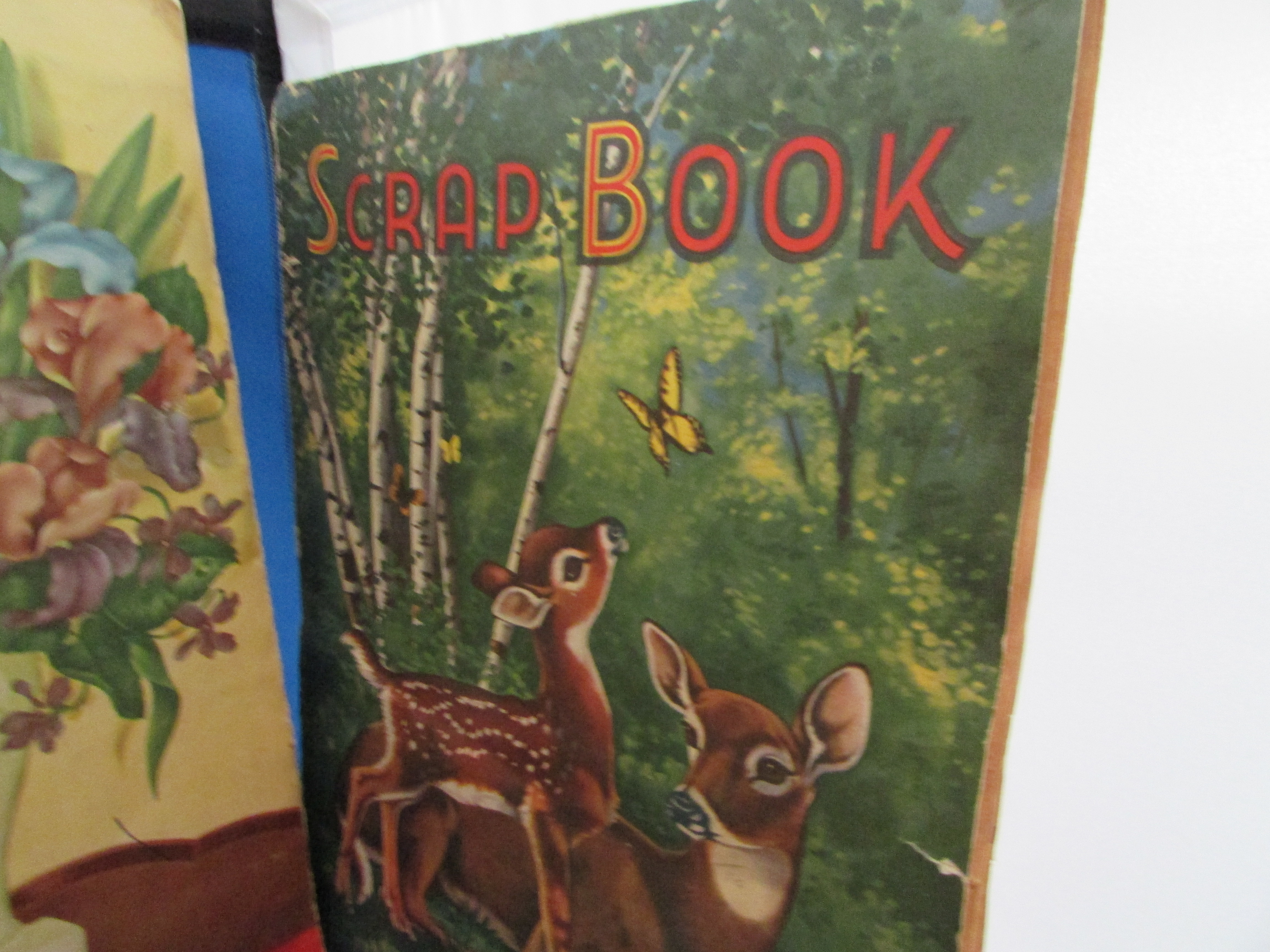 Four Old Scrap Books of Animals