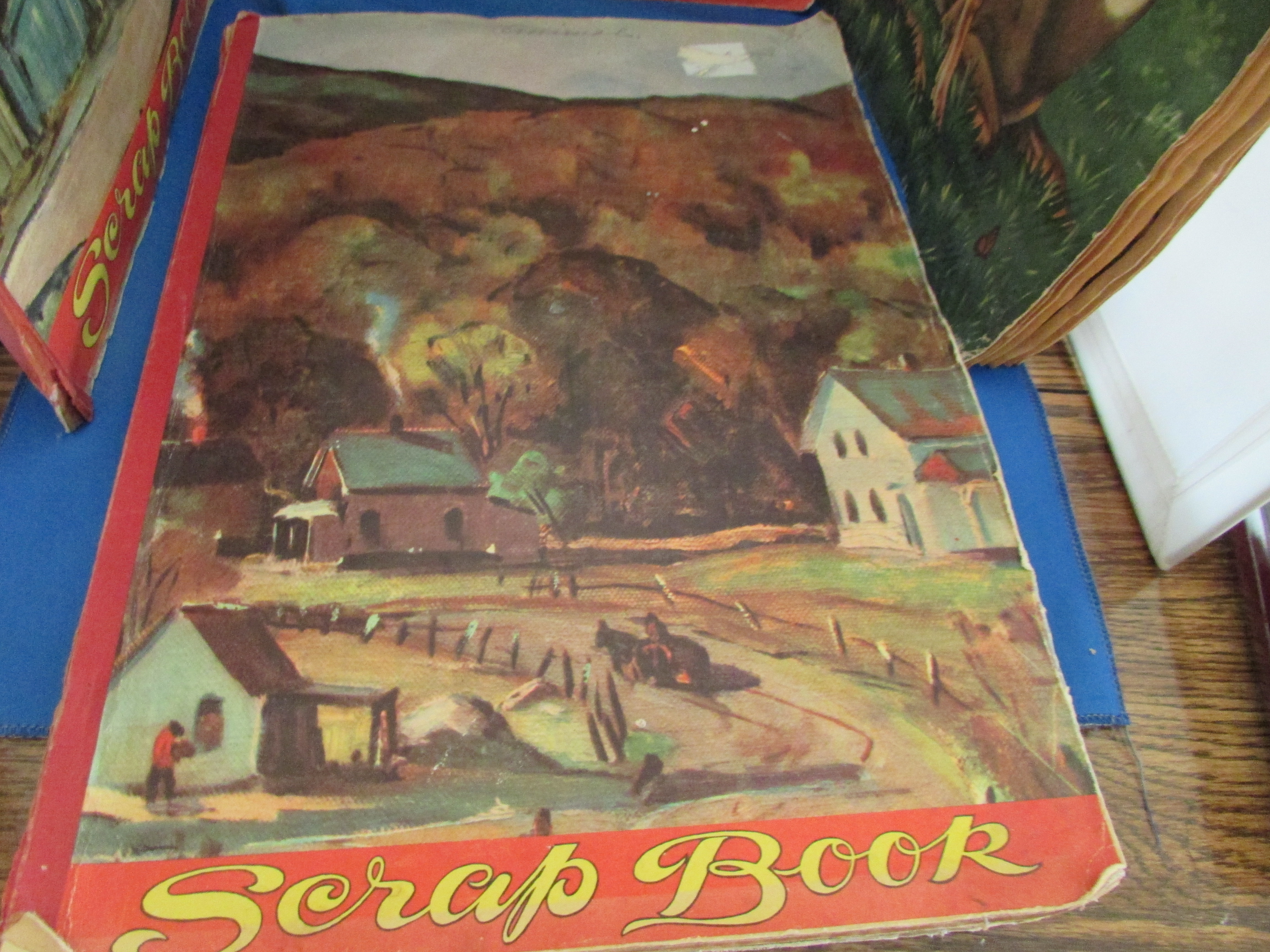 Four Old Scrap Books of Animals