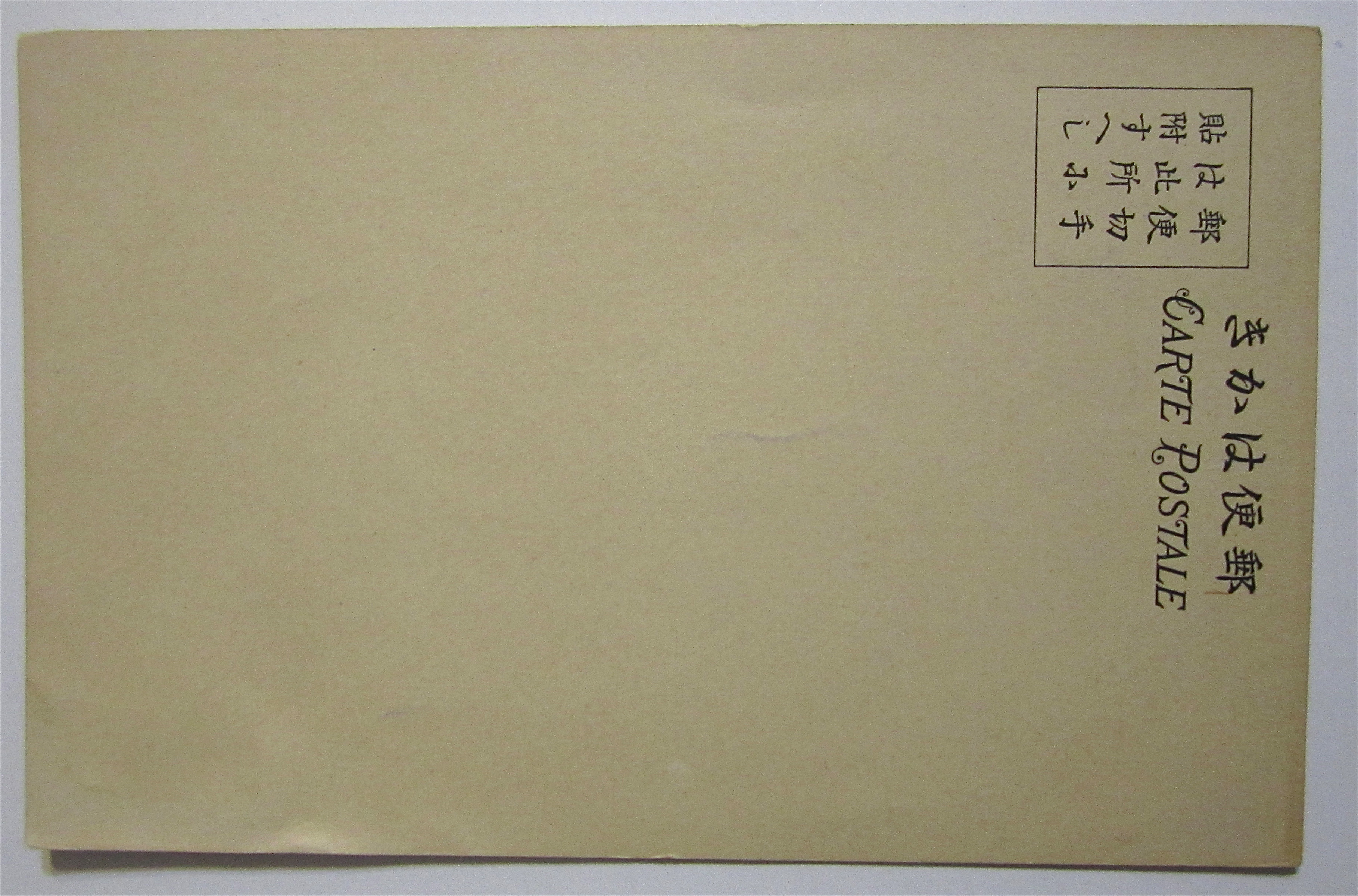 Chinese Ocean Front Scene Postcard
