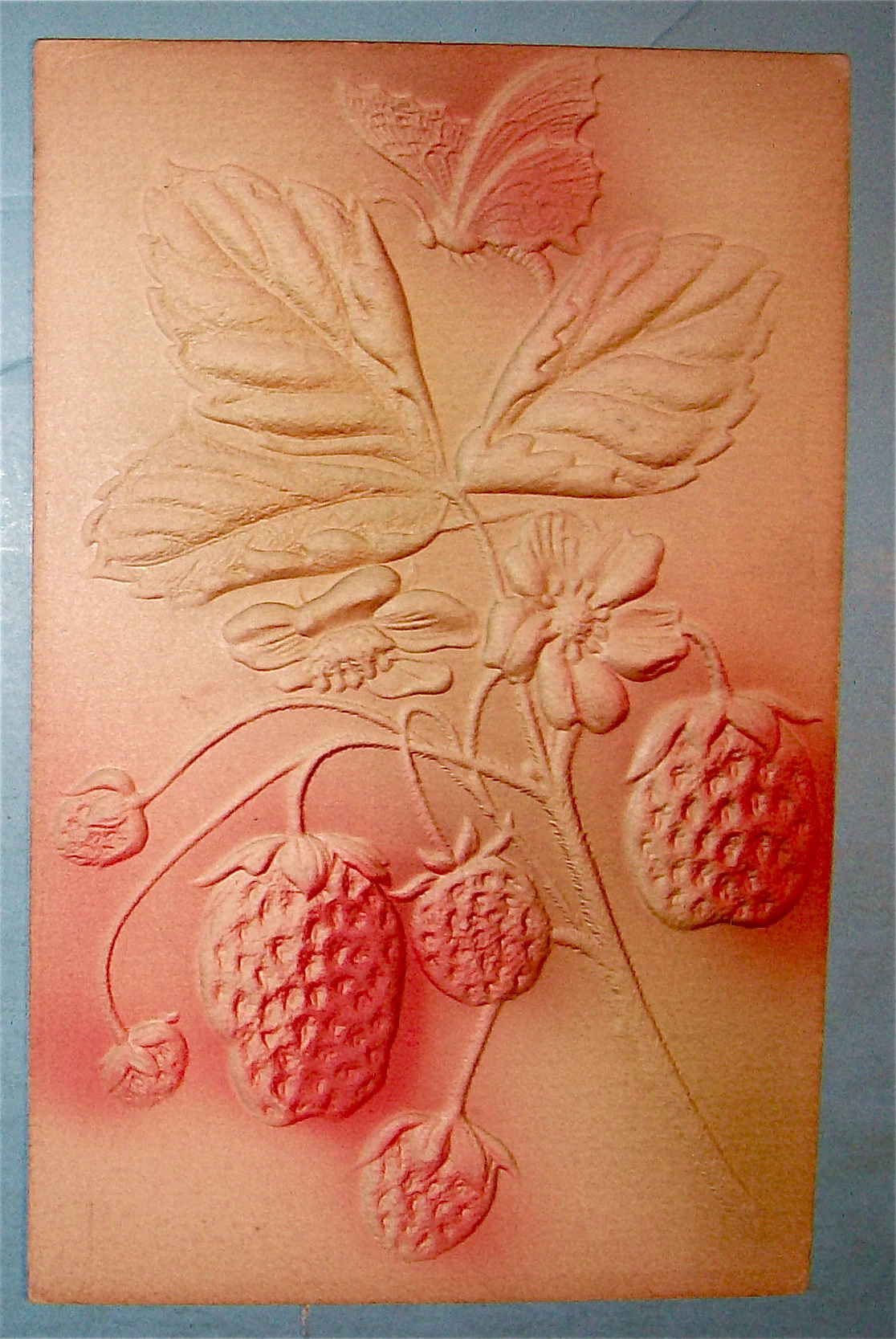 Butterfly & Strawberry Postcard (Embossed)