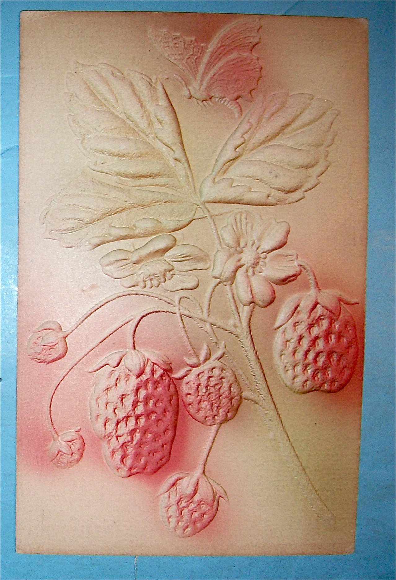 Butterfly & Strawberry Postcard (Embossed)