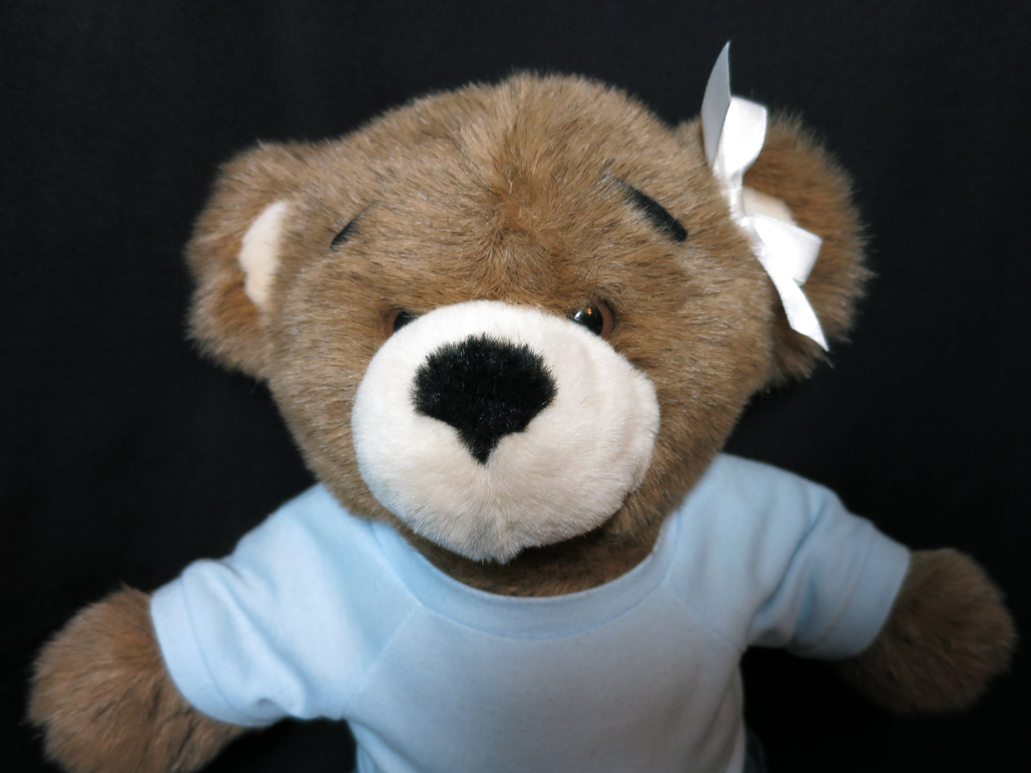 Build A Bear Bearemy Giggles 15 inch