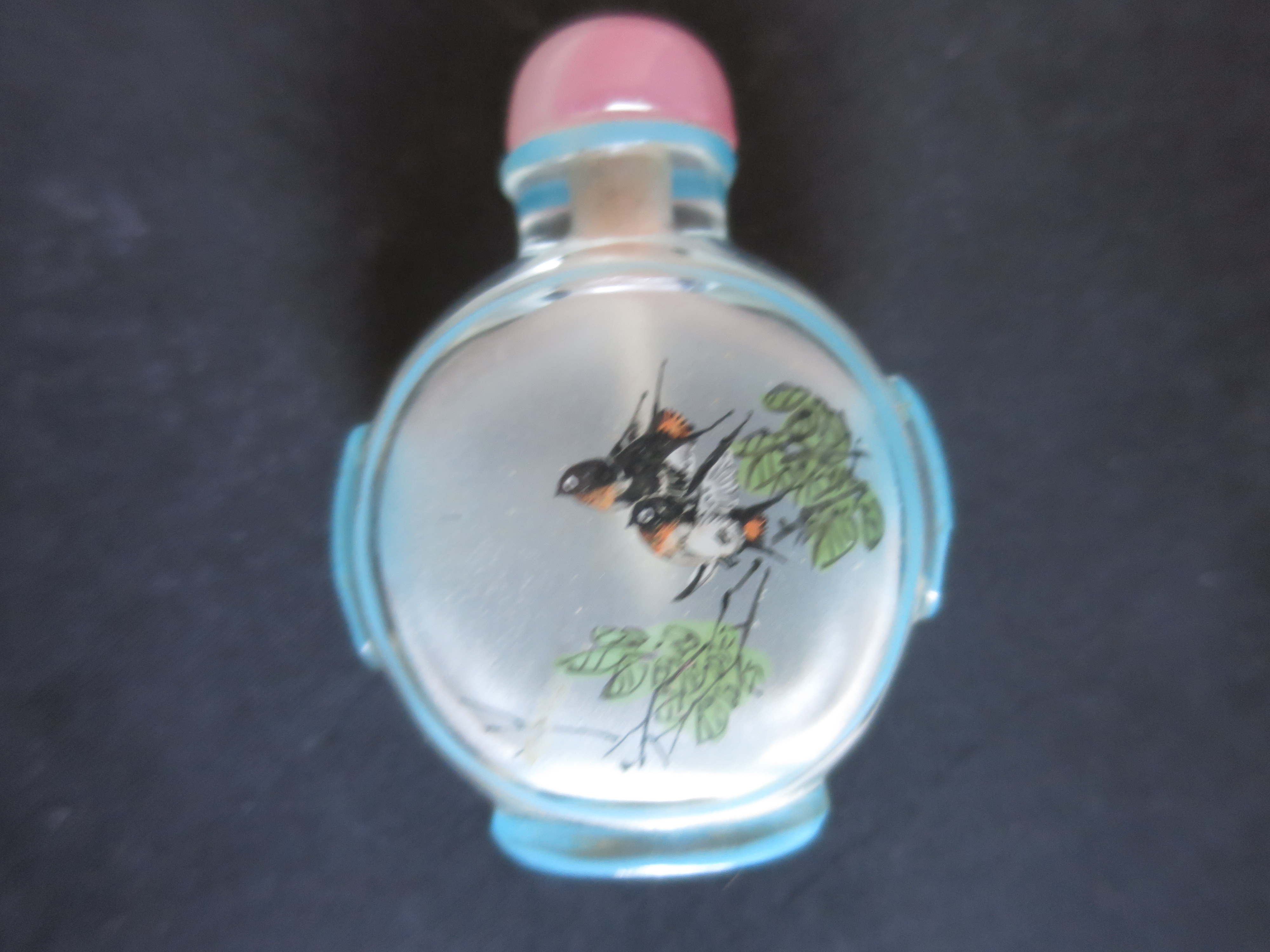 Chinese Snuff Bottle Reverse Painted Cased Glass