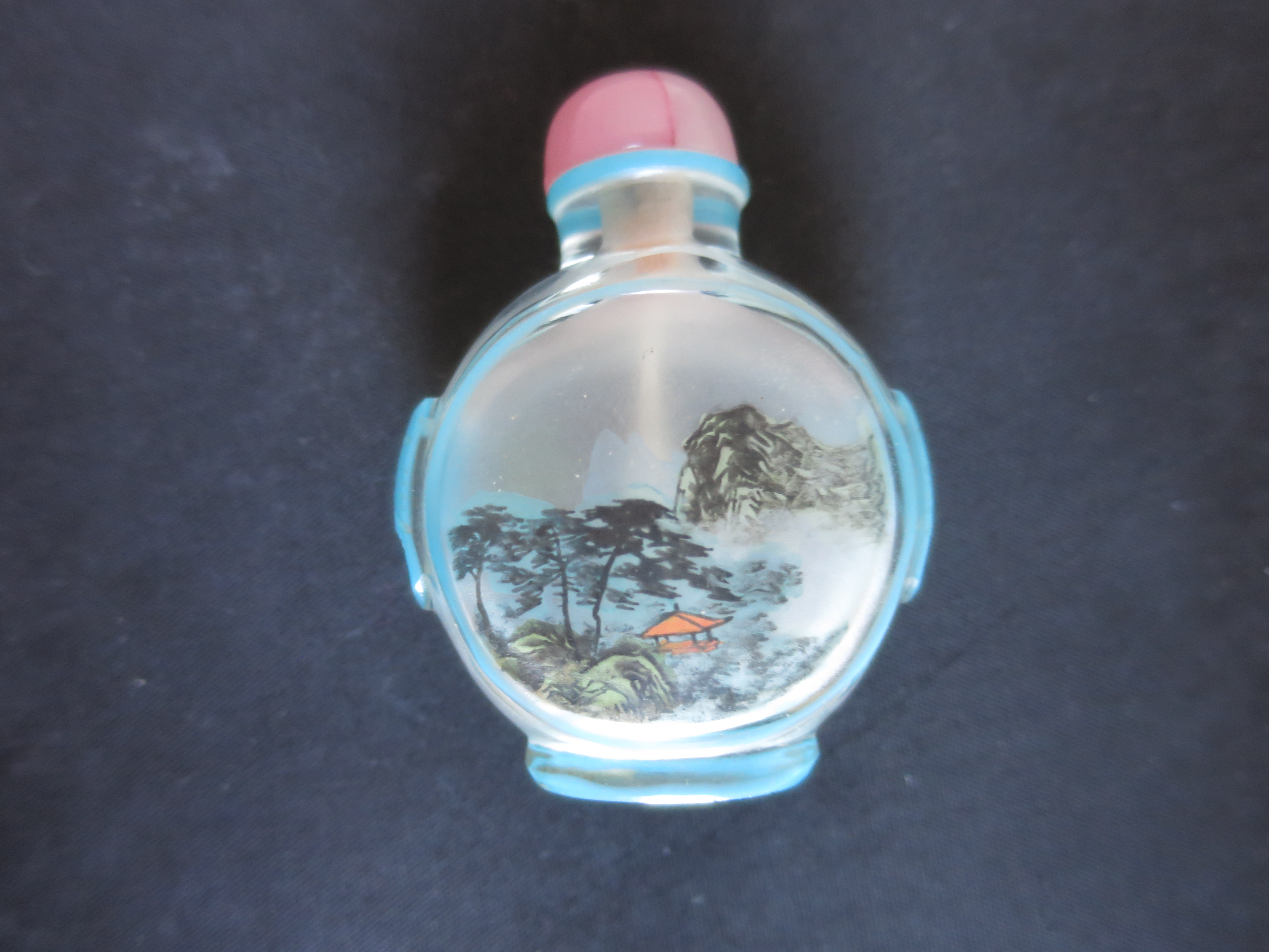 Chinese Snuff Bottle Reverse Painted Cased Glass