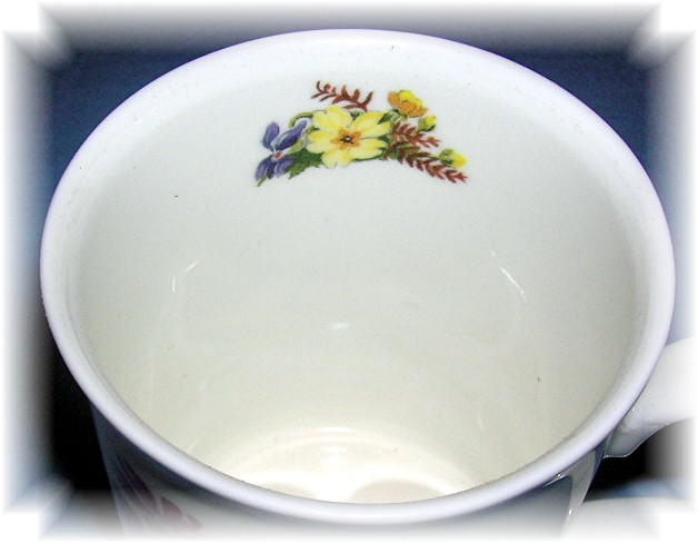 DUNOON TEA COFFEE MUG  FINE BONE CHINA Spring