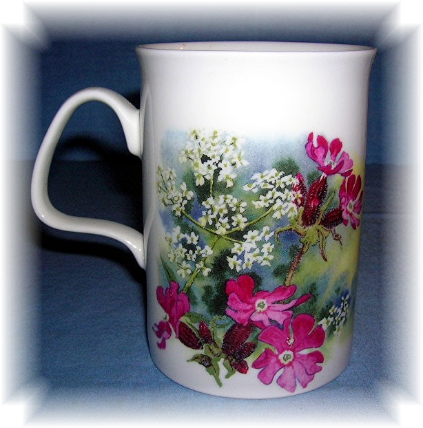 DUNOON TEA COFFEE MUG  FINE BONE CHINA Spring