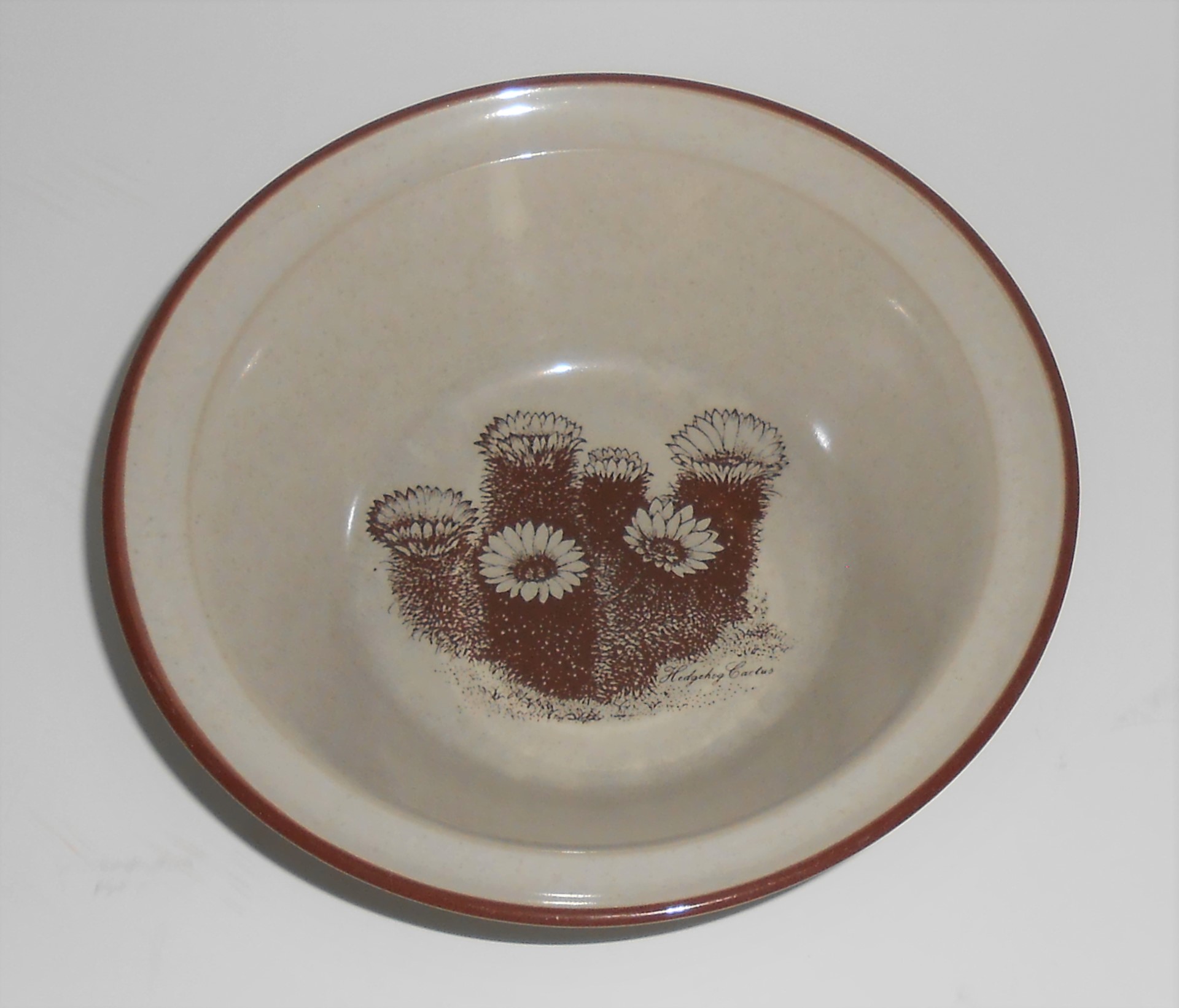 Noritake China Stoneware Desert Flowers Cereal Bowl