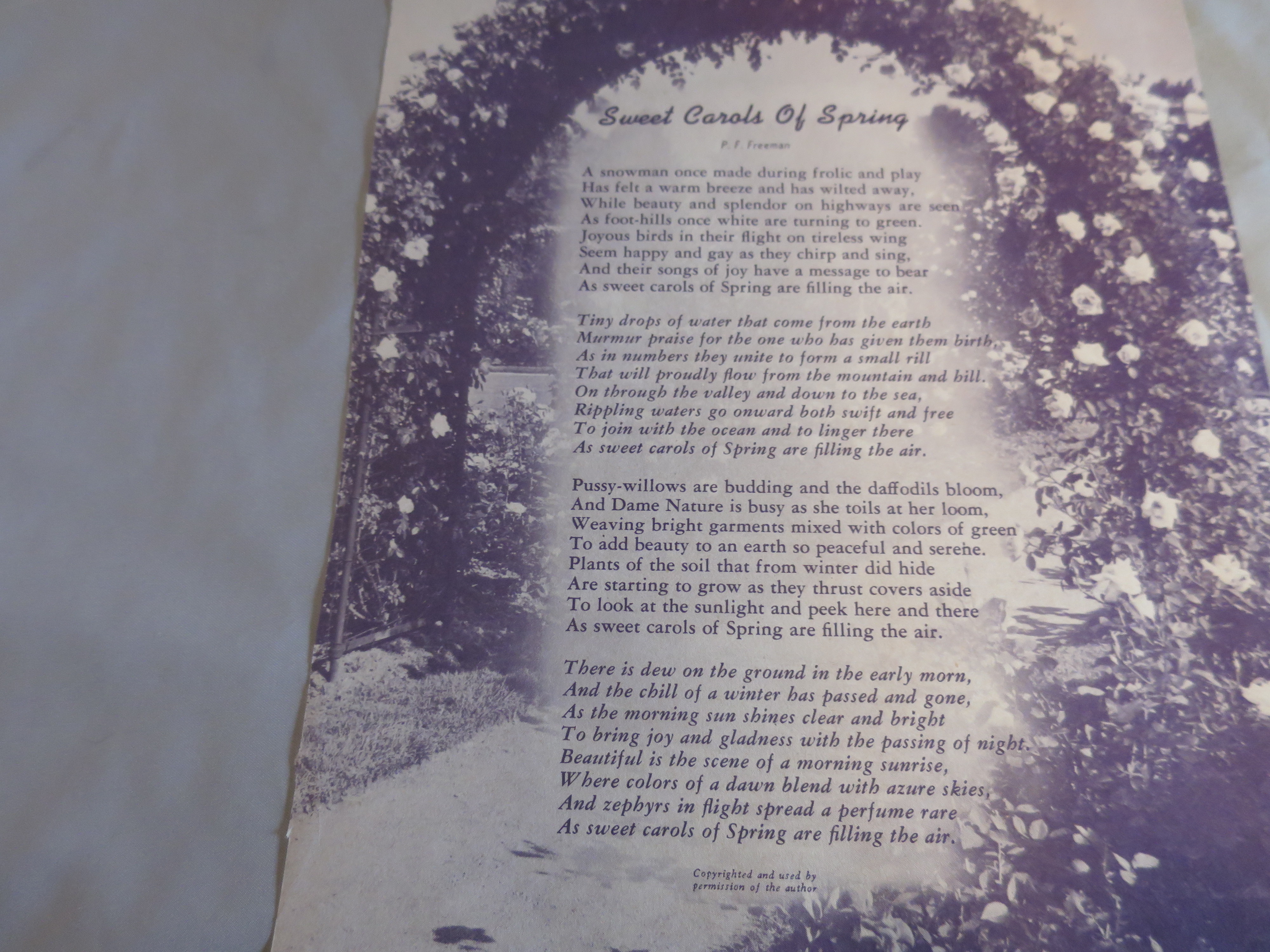 Floral Bouquet Sweet Carols of Spring Ideal Book Print