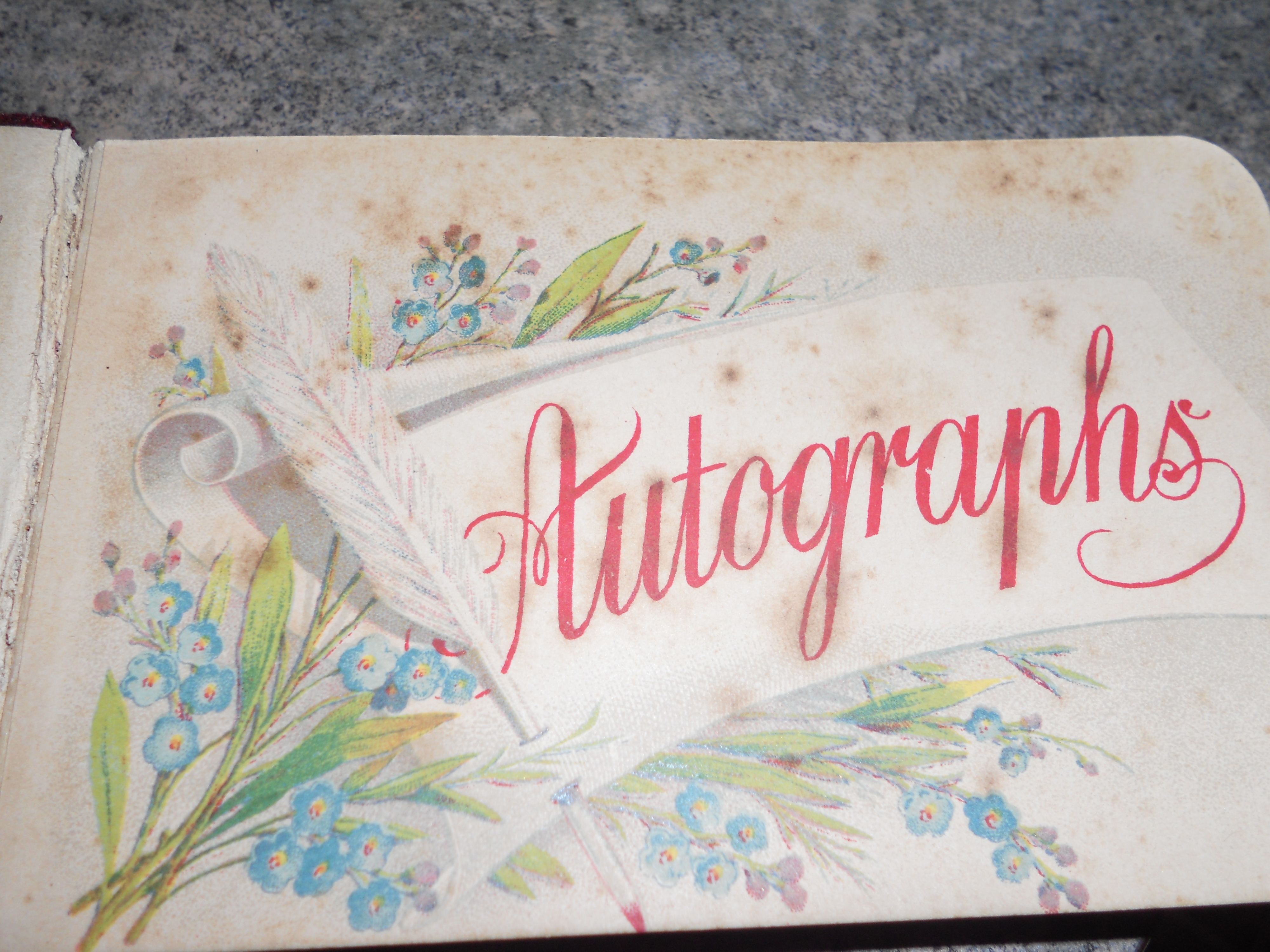 Autograph Book 1890 Velour Cover jeweled