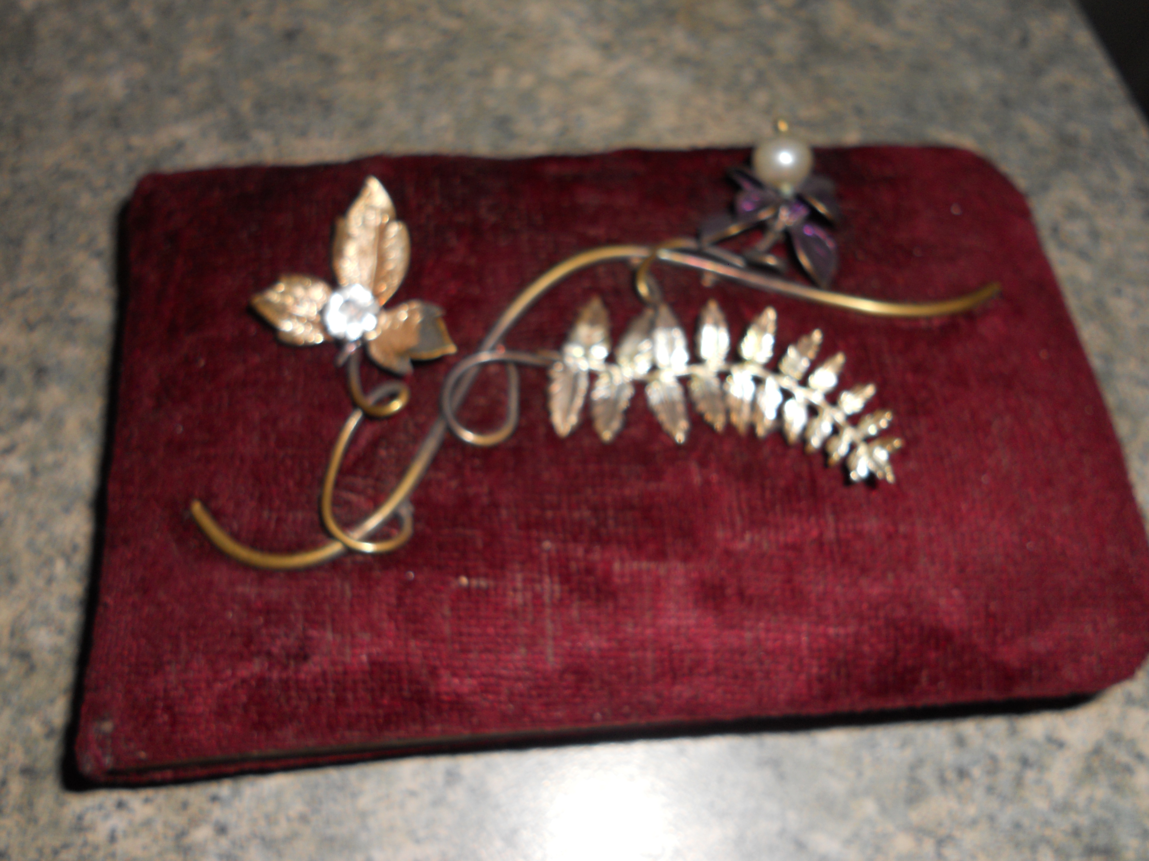 Autograph Book 1890 Velour Cover jeweled