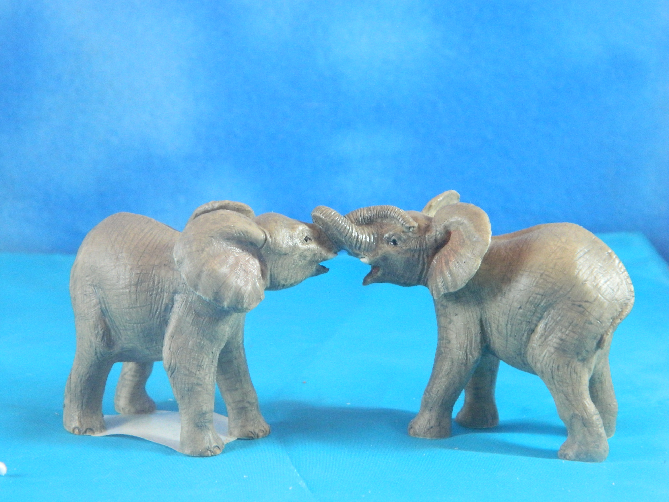 Country Artists Sherratt & Simpson Playing Elephants