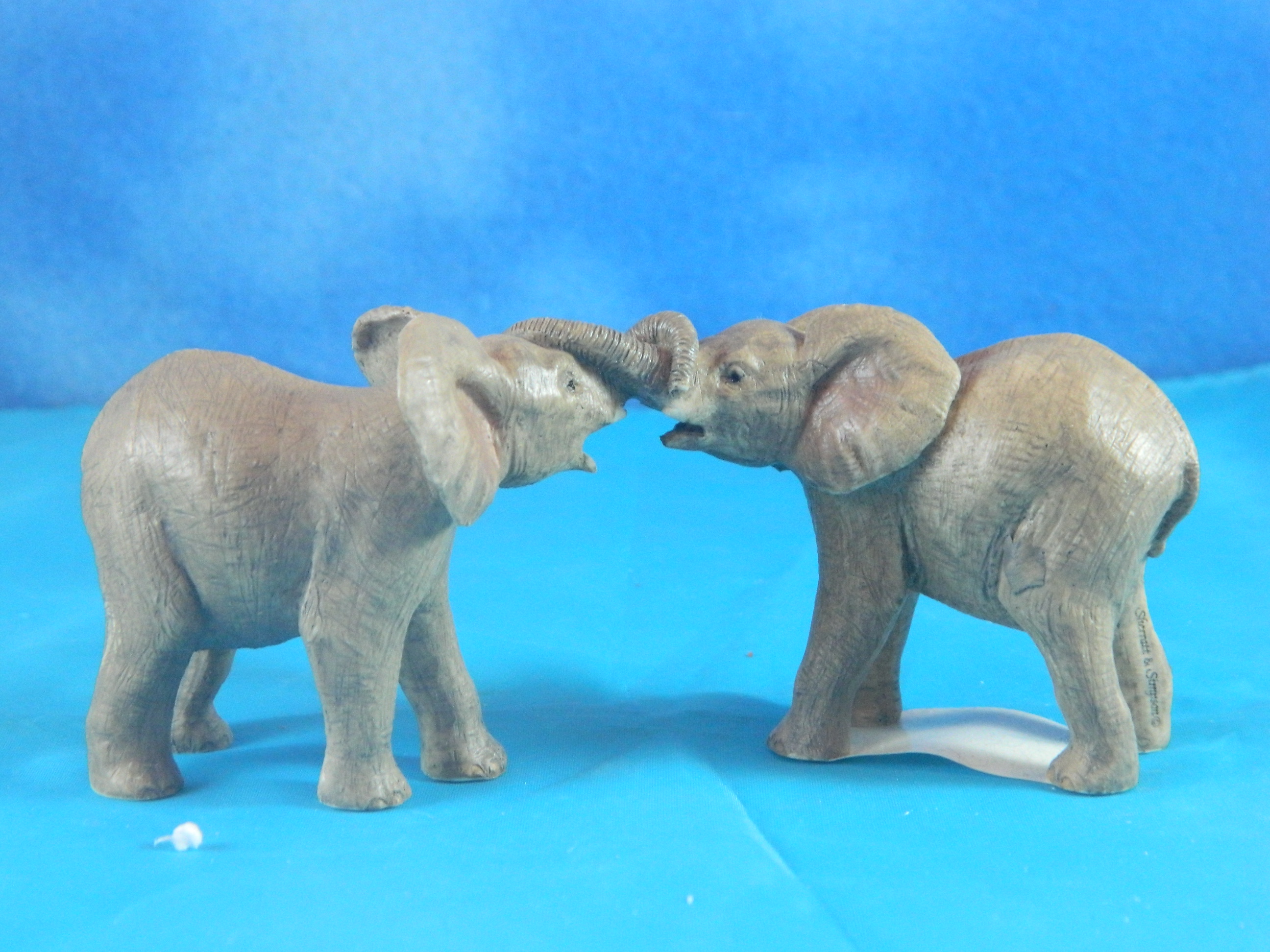 Country Artists Sherratt & Simpson Playing Elephants