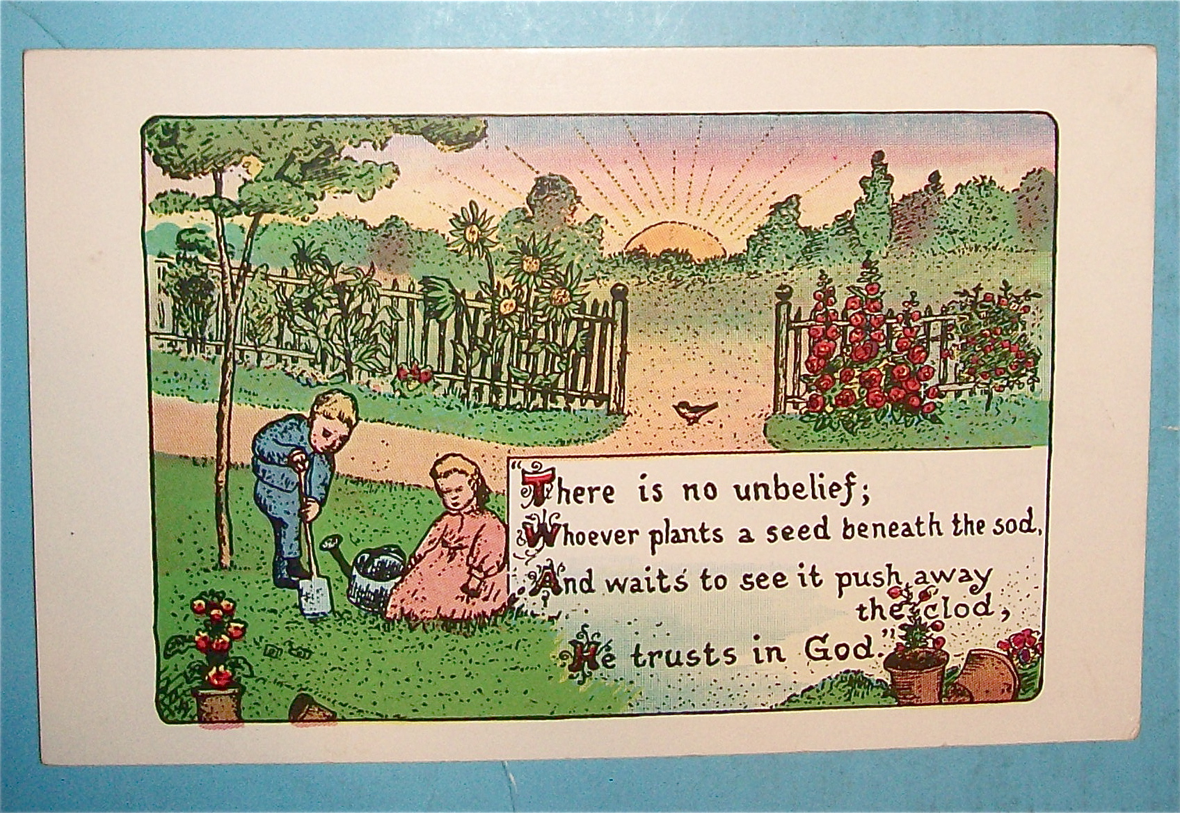 Young Planters Trust God Postcard