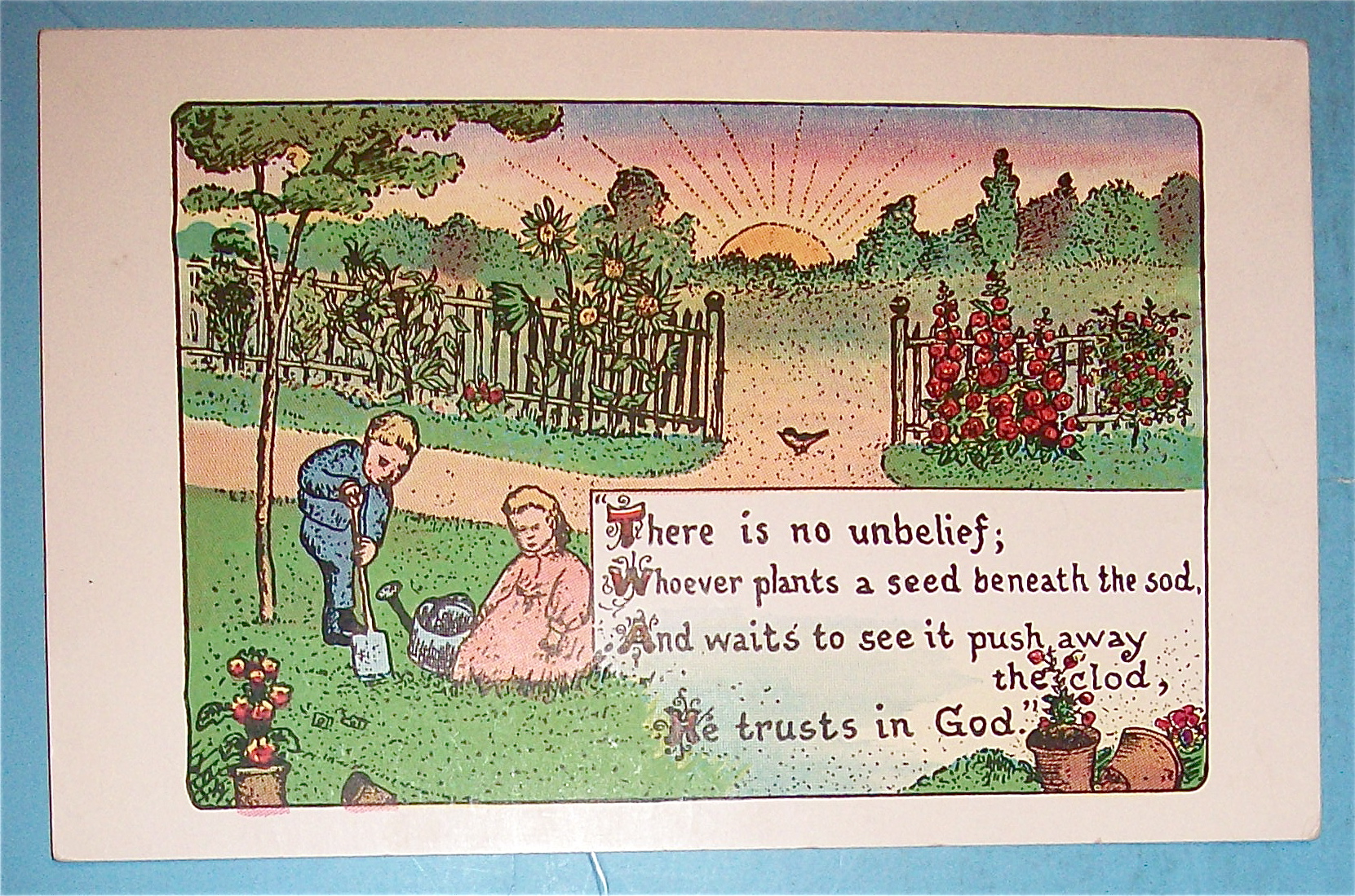 Young Planters Trust God Postcard