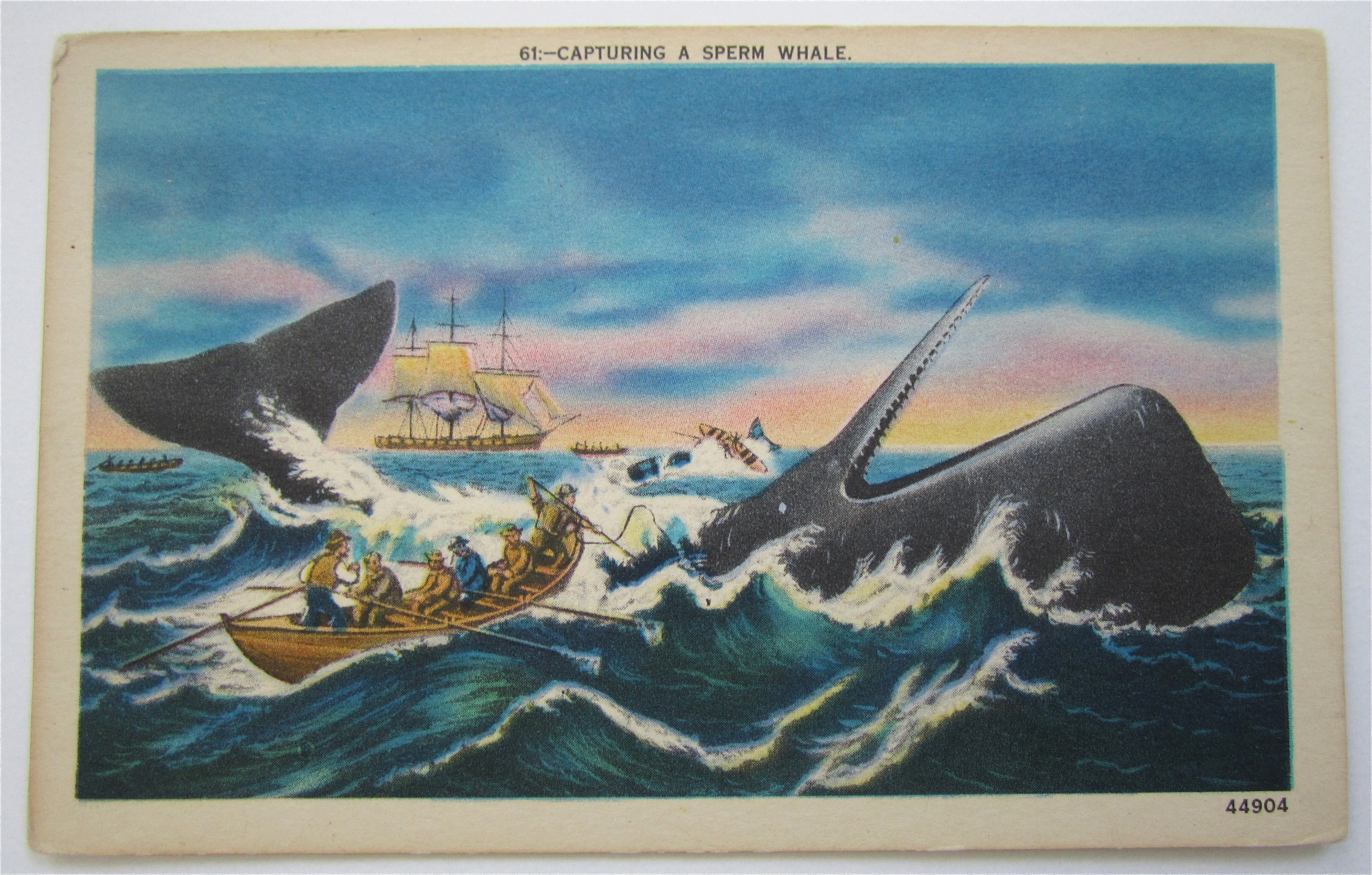 Capturing A Sperm Whale Postcard
