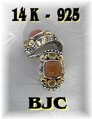 14K Gold Sterling Silver Signed French Clip Earrings