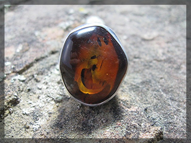 Baltic Amber and Sterling Silver Ring by Starborn