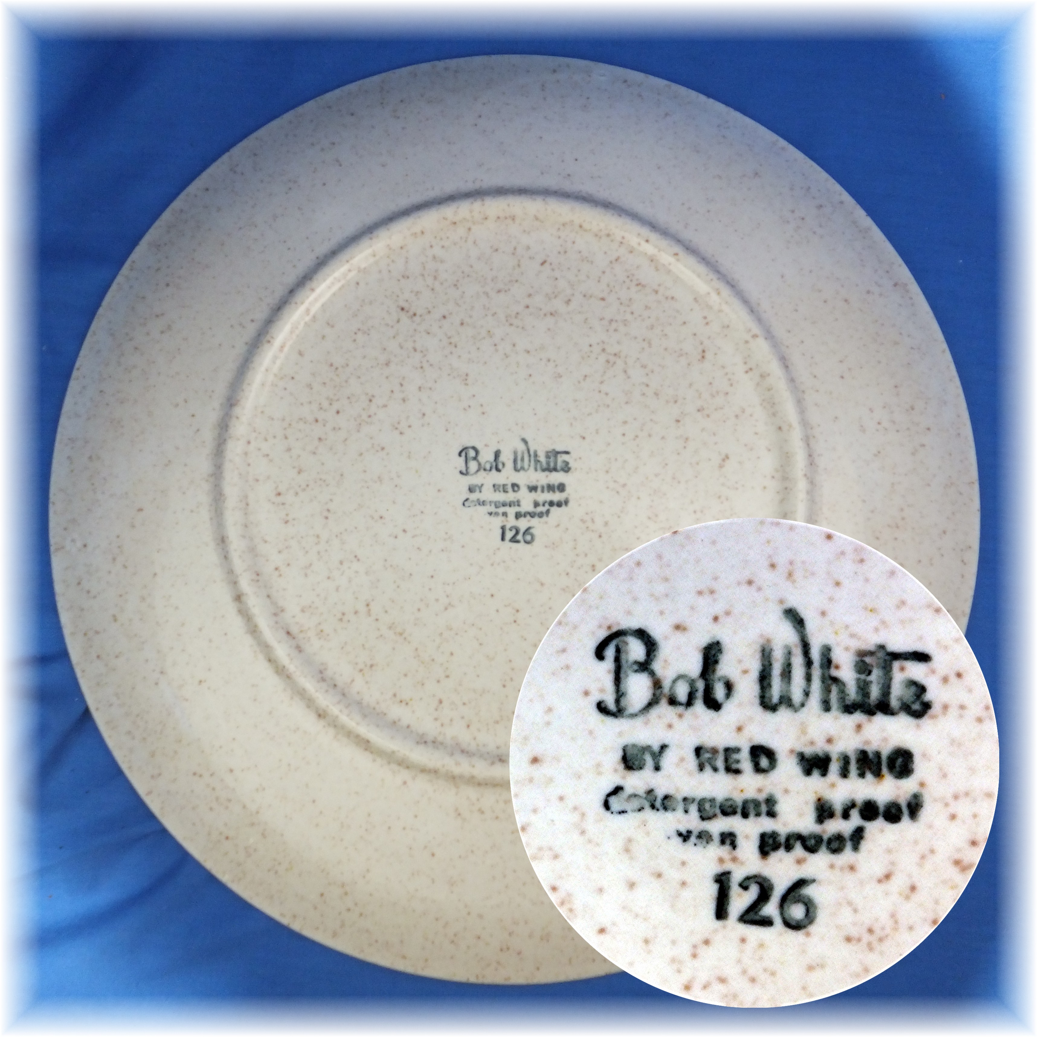 Dinner Plate in the Bob White pattern by Red Wing China