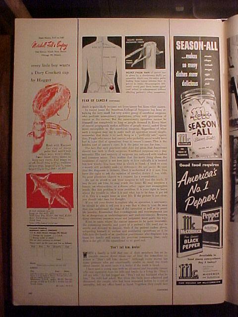 Life Magazine-October 31, 1955-Mrs Averell Clark Jr