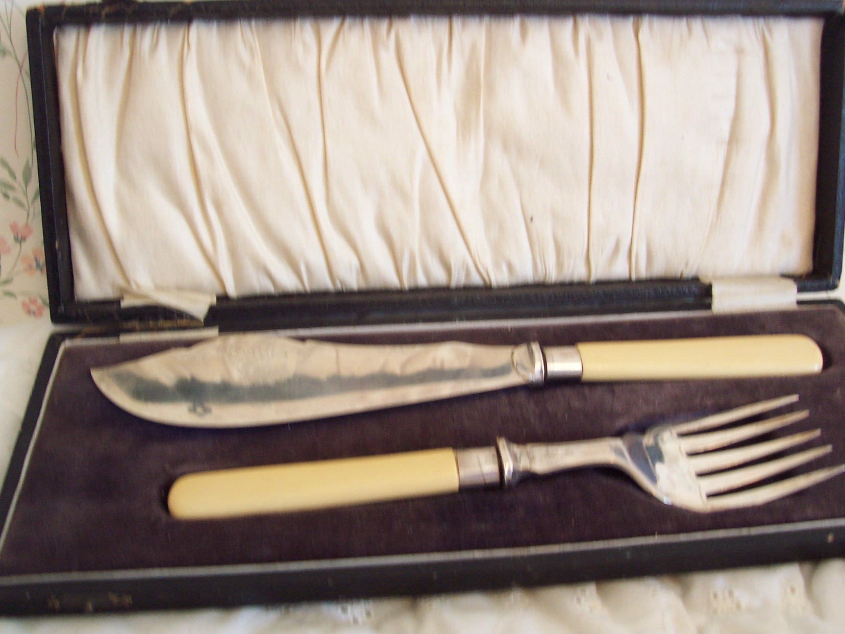 Cutlery Set in Case Knife and Fork