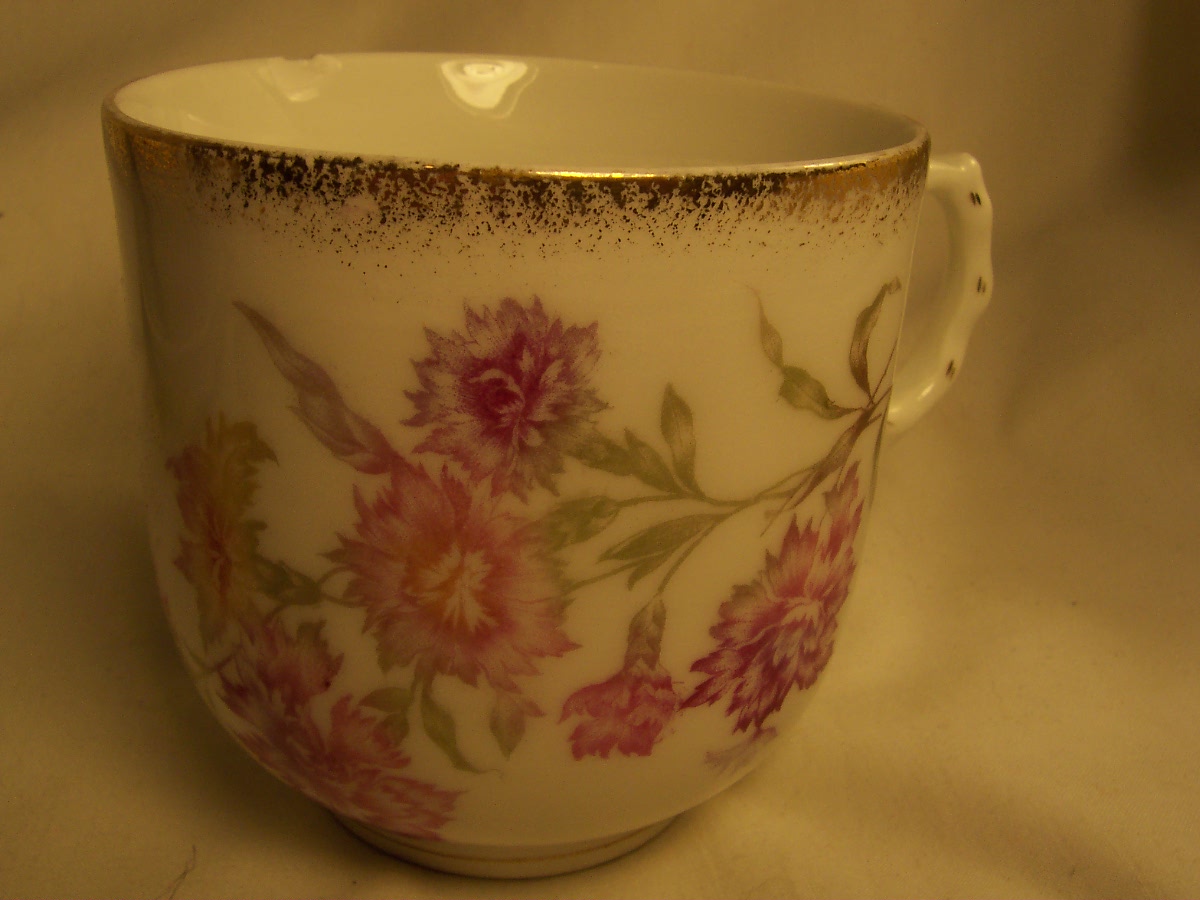 Mustache Cup Carnations design