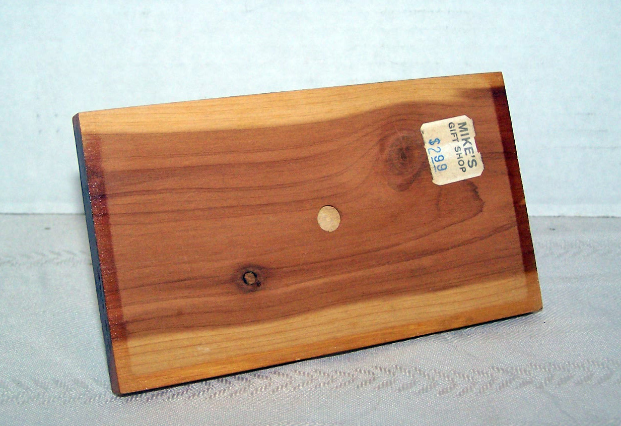 Pair of Bottle Shape Wood Salt & Pepper Shakers