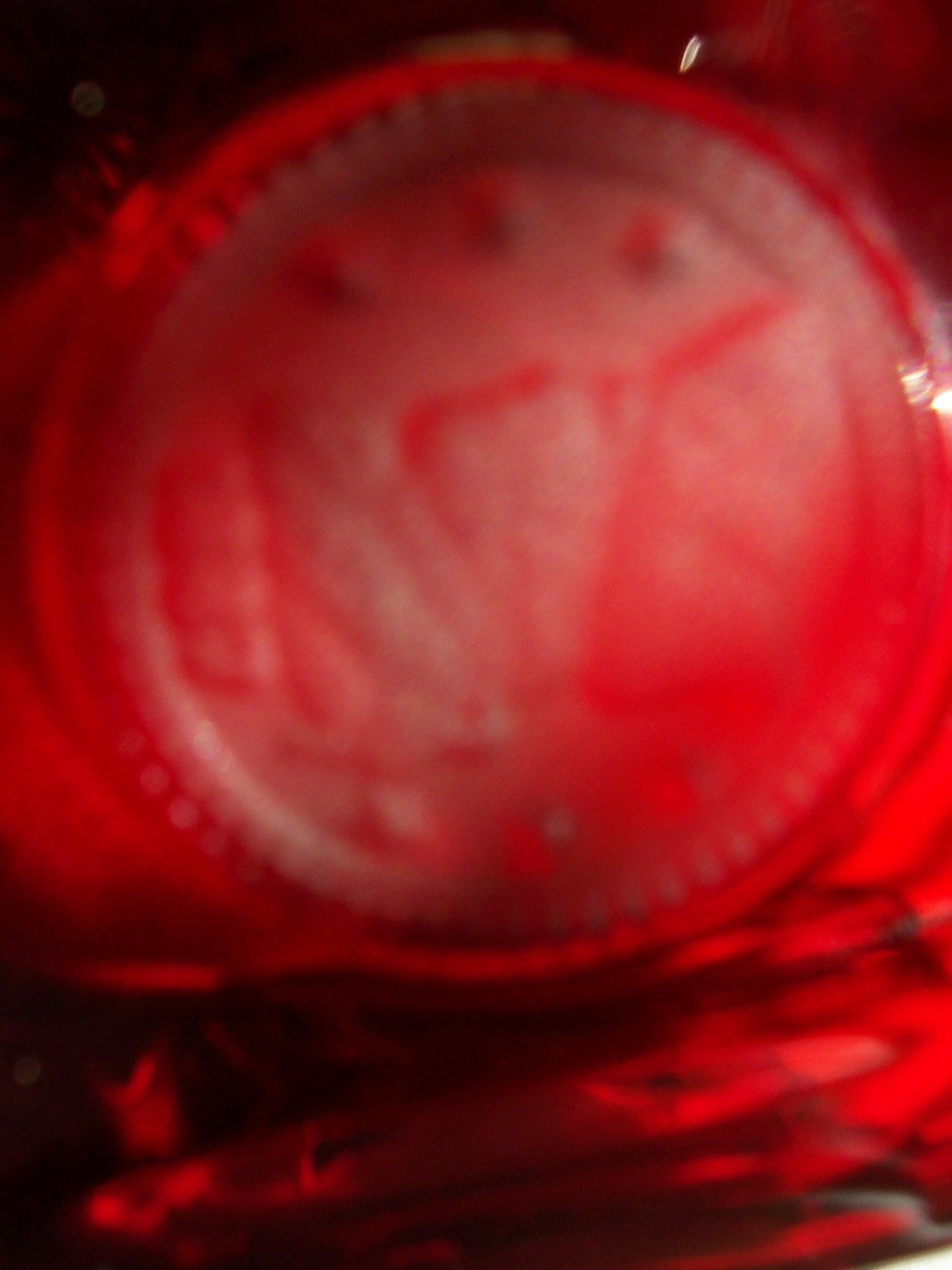 Fostoria Red Coin Glass Oval Bowl