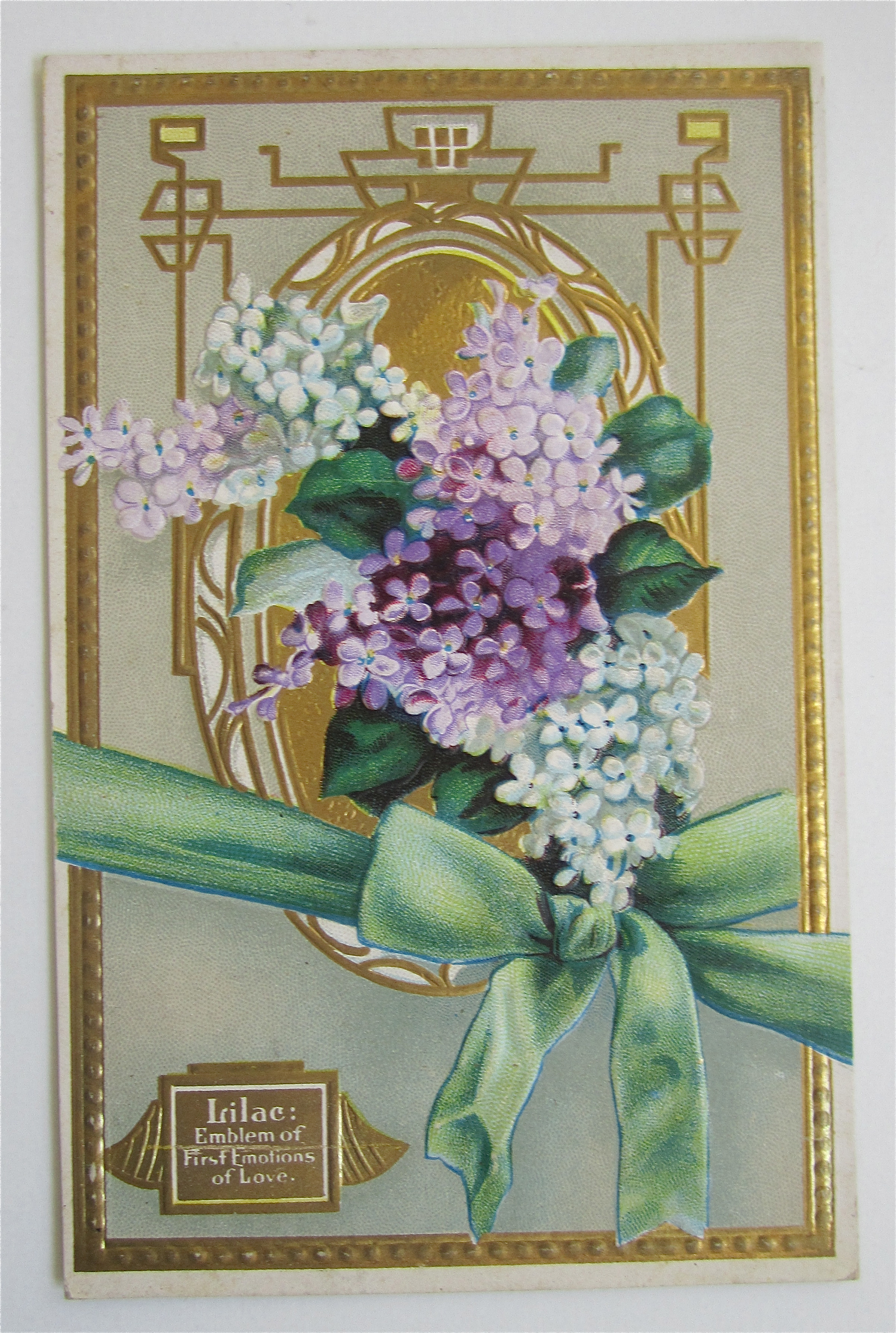 Purple And White Lilac Flowers Postcard