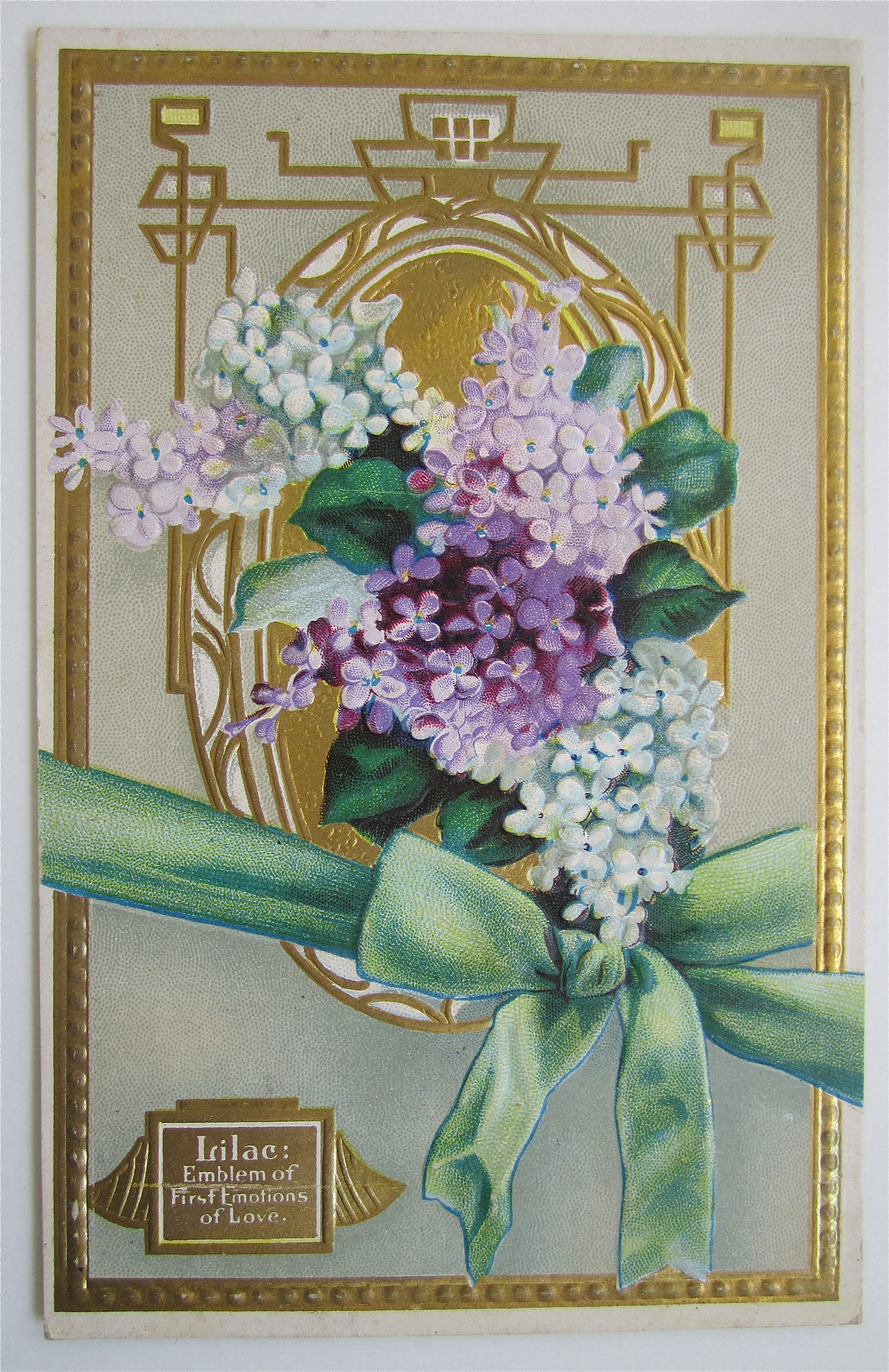 Purple And White Lilac Flowers Postcard