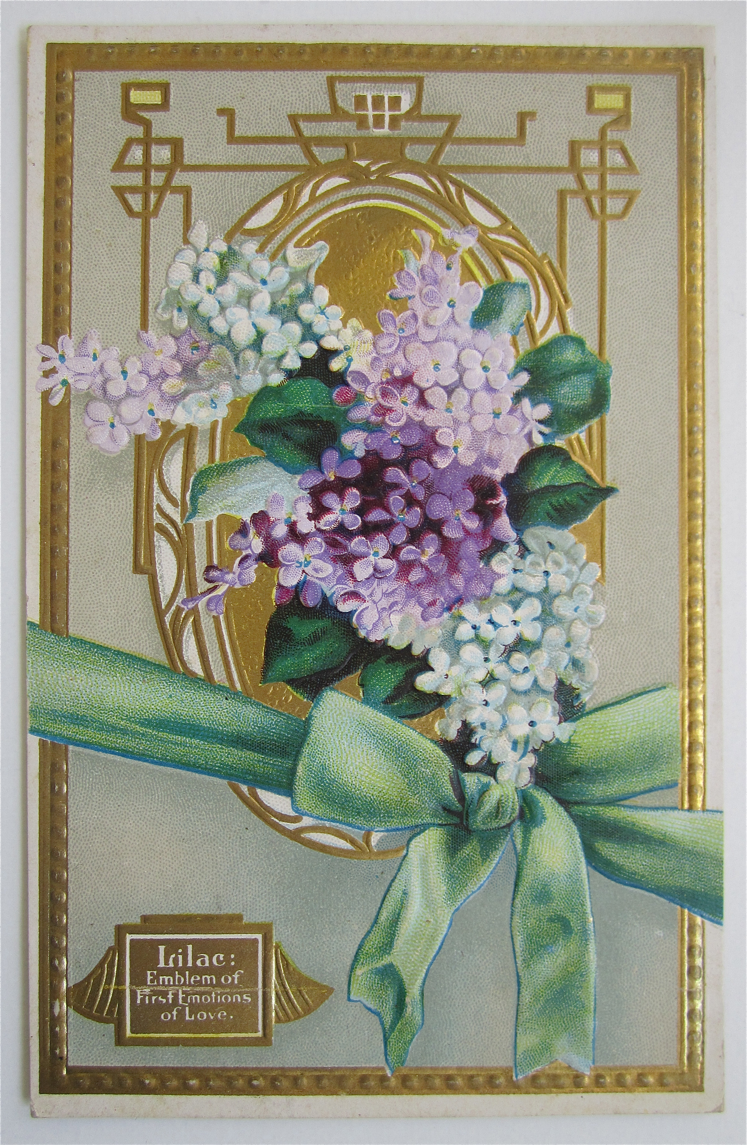 Purple And White Lilac Flowers Postcard