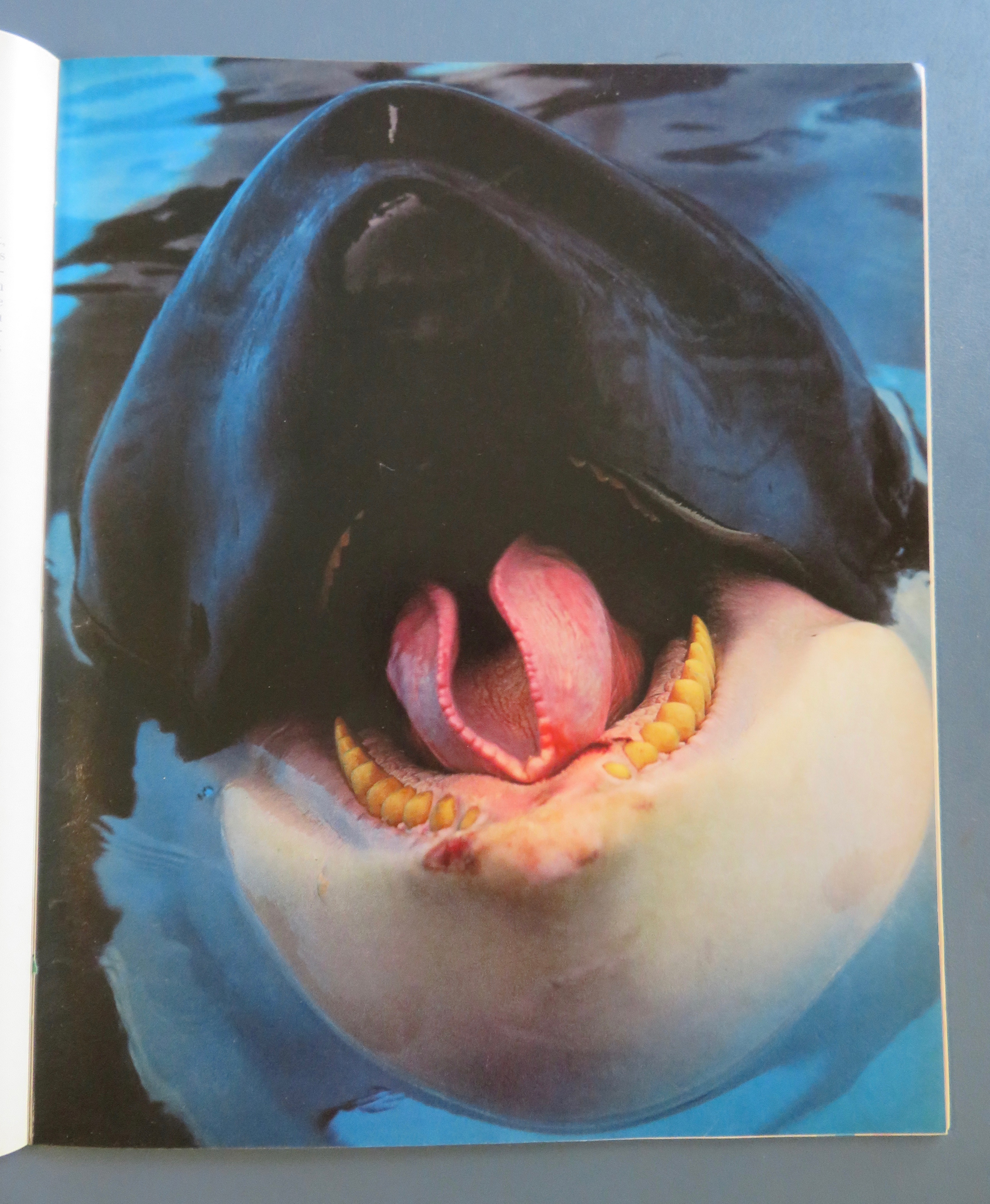 Life Magazine November 1993 When A Father Dies