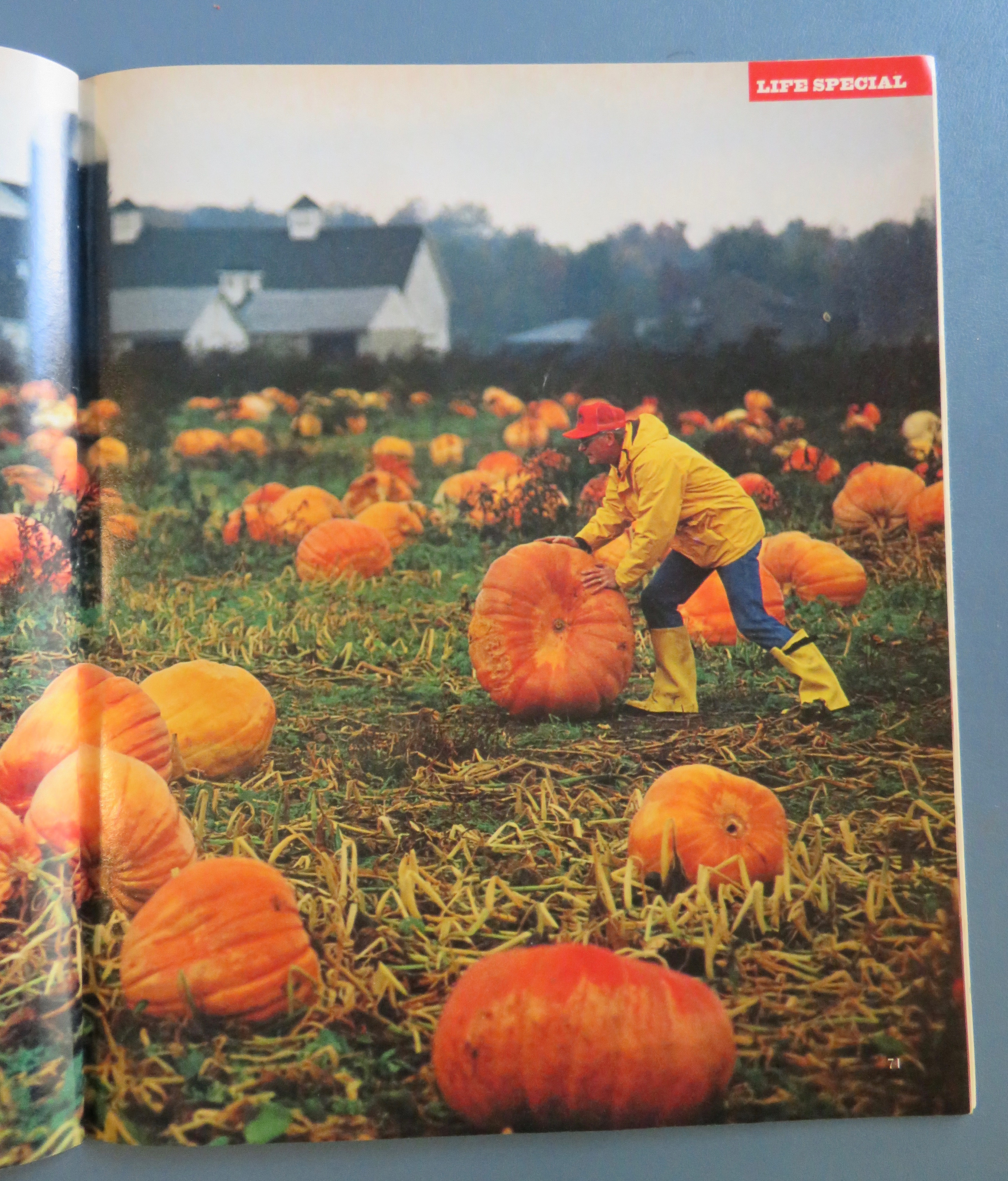 Life Magazine November 1993 When A Father Dies