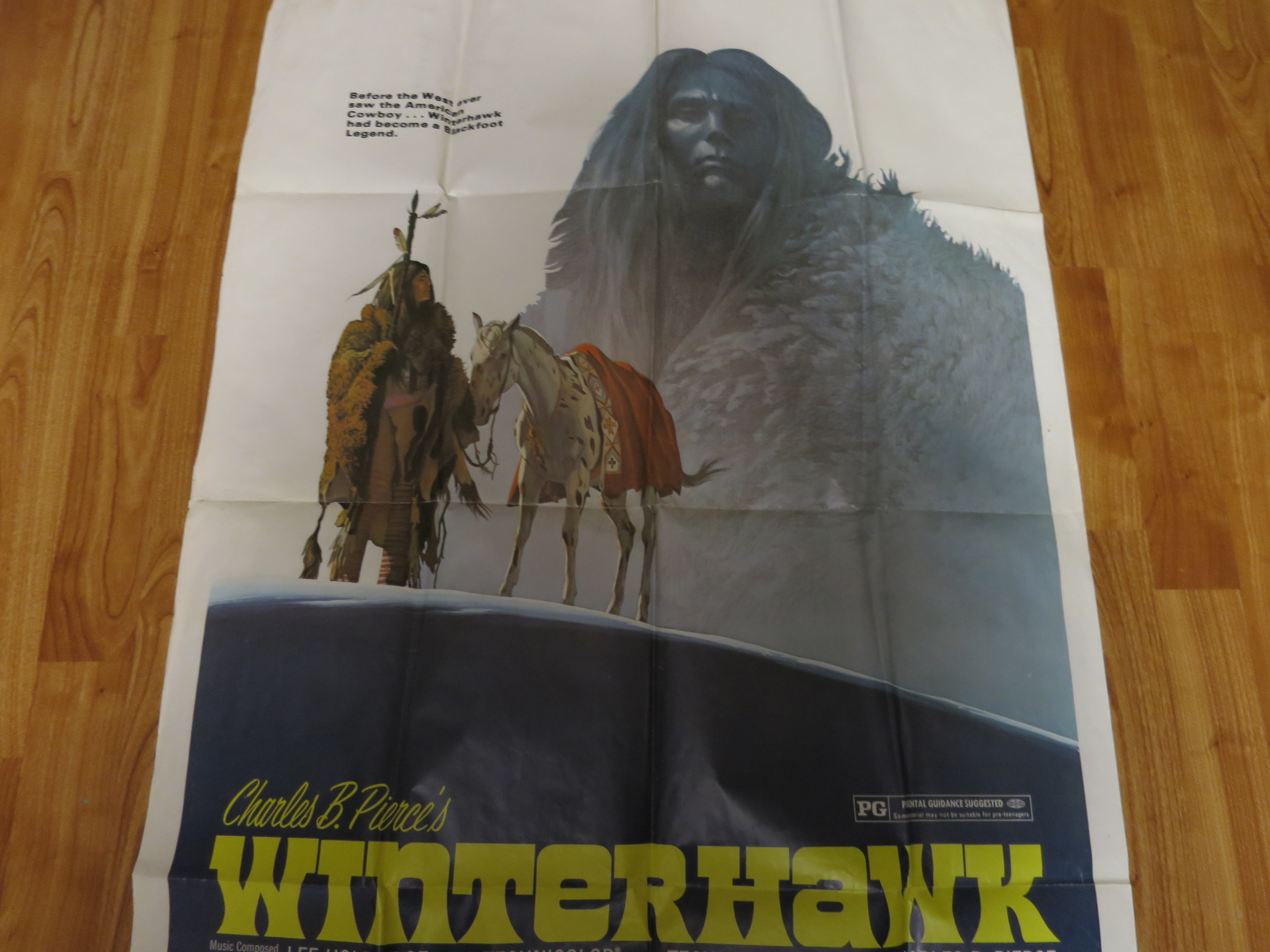 Original 1975 Winterhawk Movie Poster