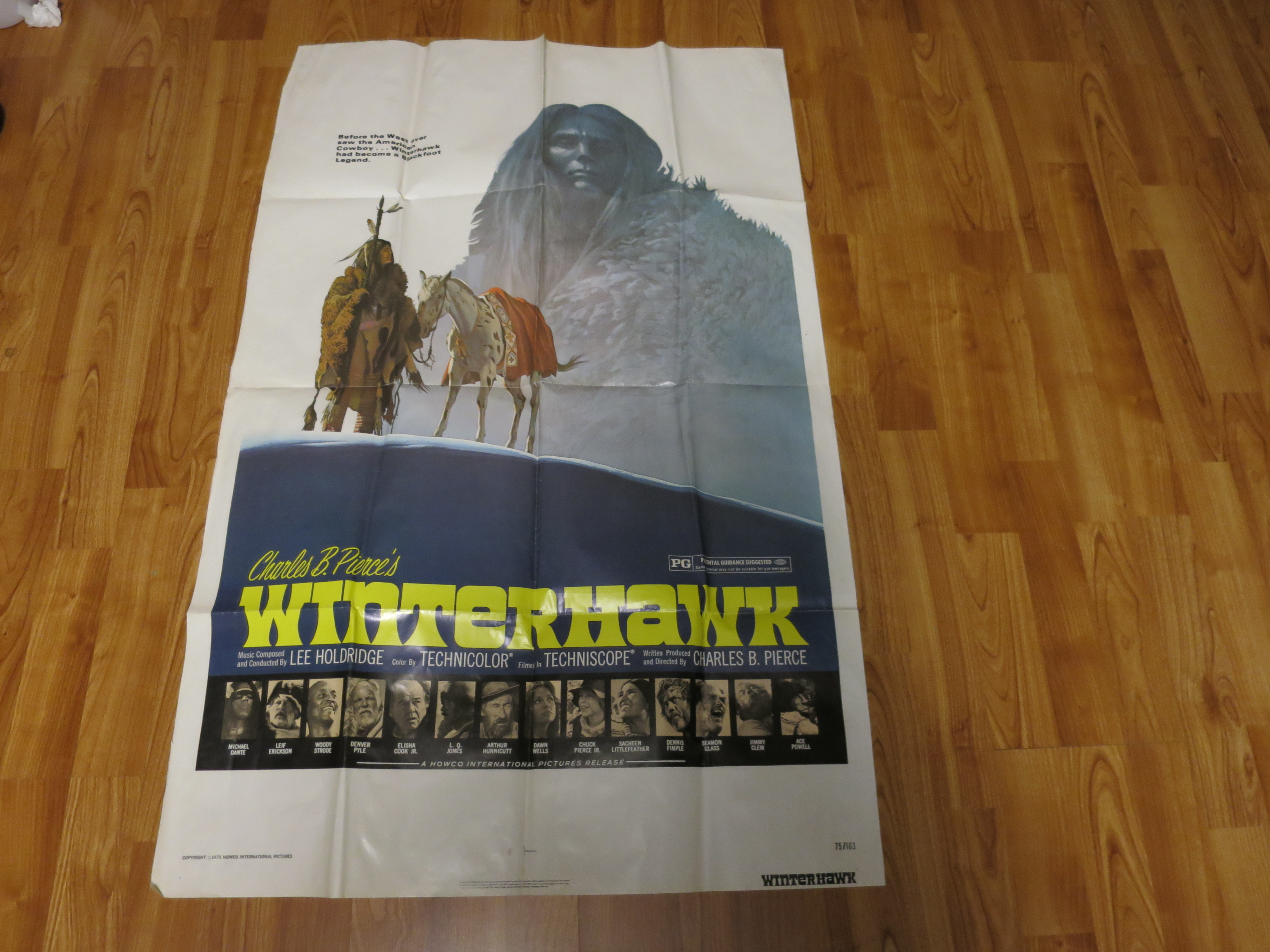 Original 1975 Winterhawk Movie Poster