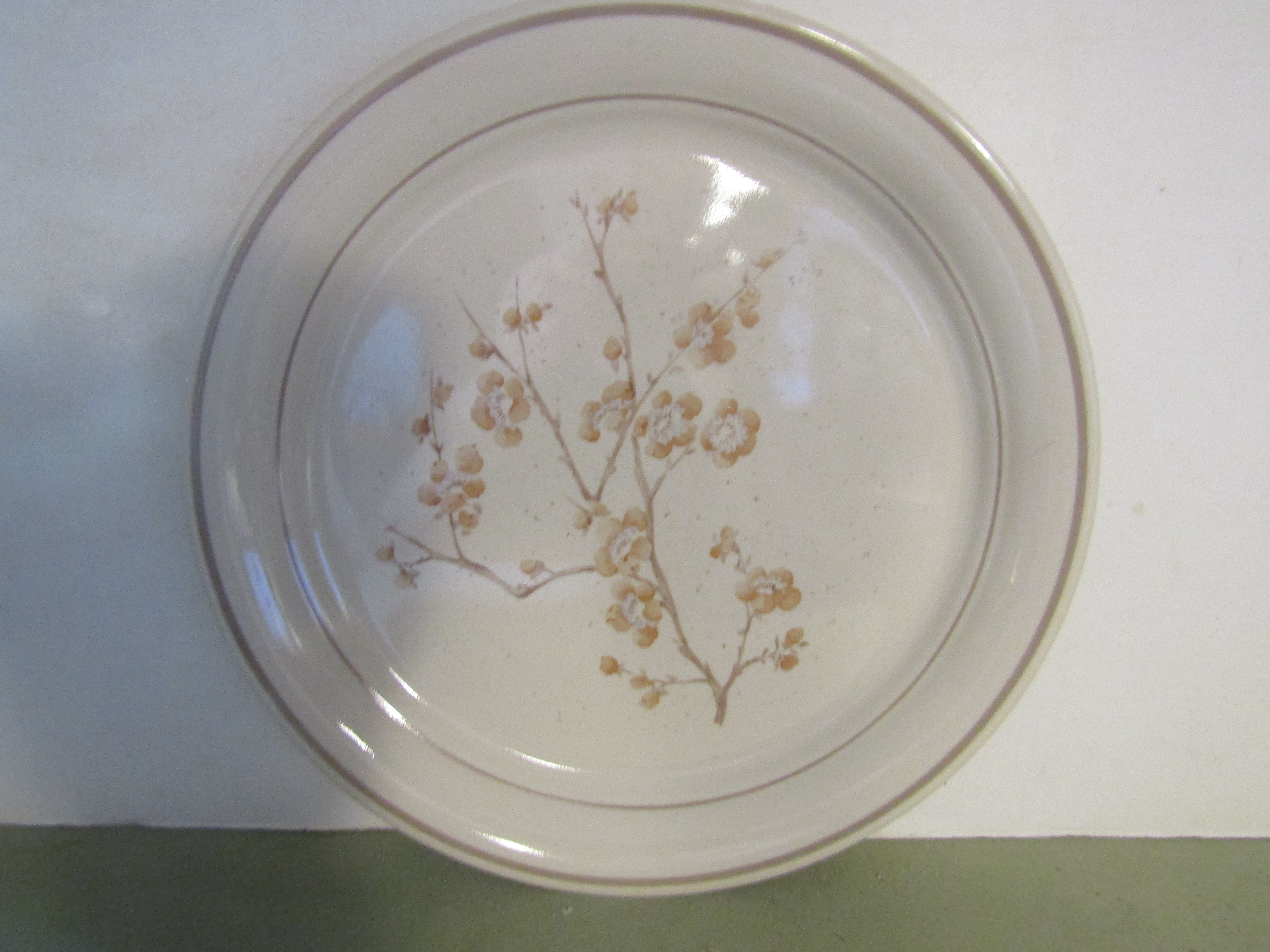 Corelle Corner Stone China Blossom Dinner Plates