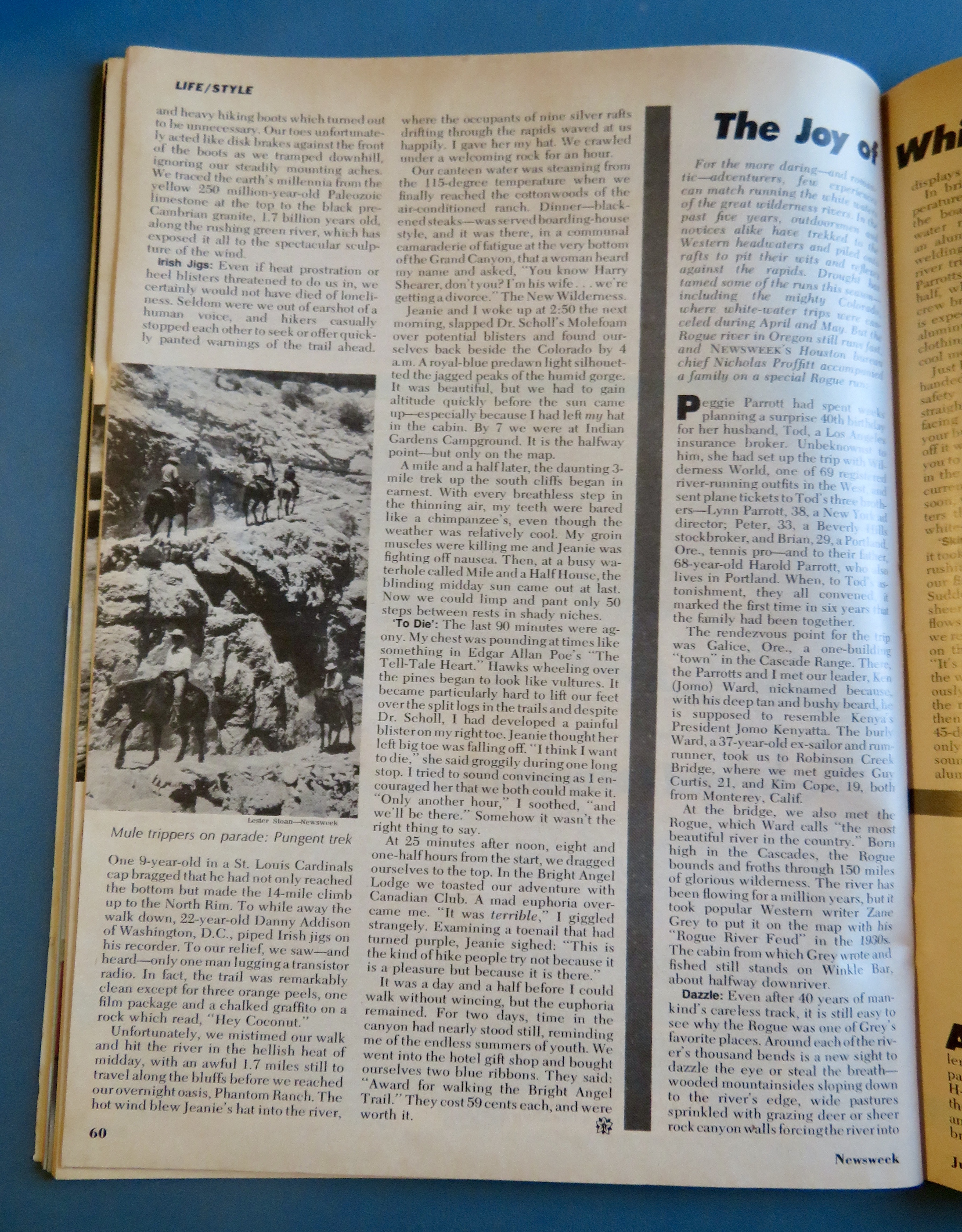 Newsweek Magazine July 18, 1977 Life Outdoors