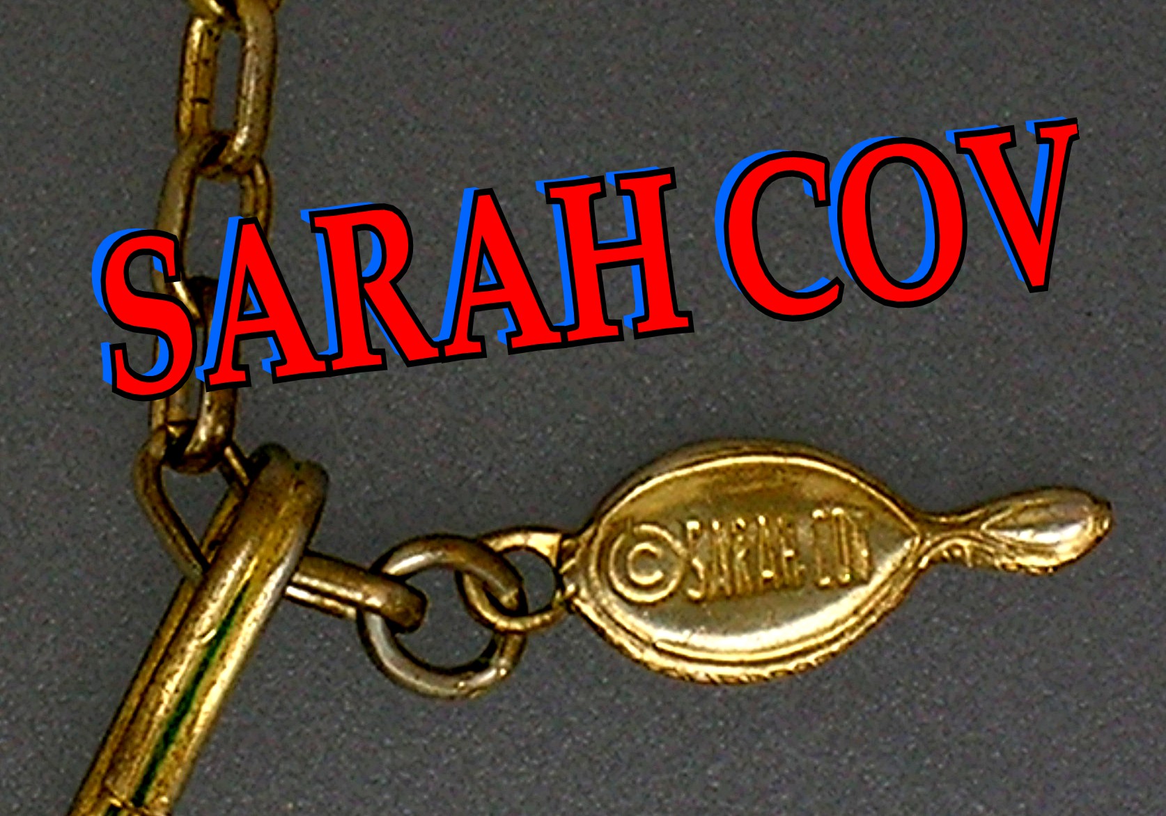 SARAH COVENTRY Goldtone Link Necklace
