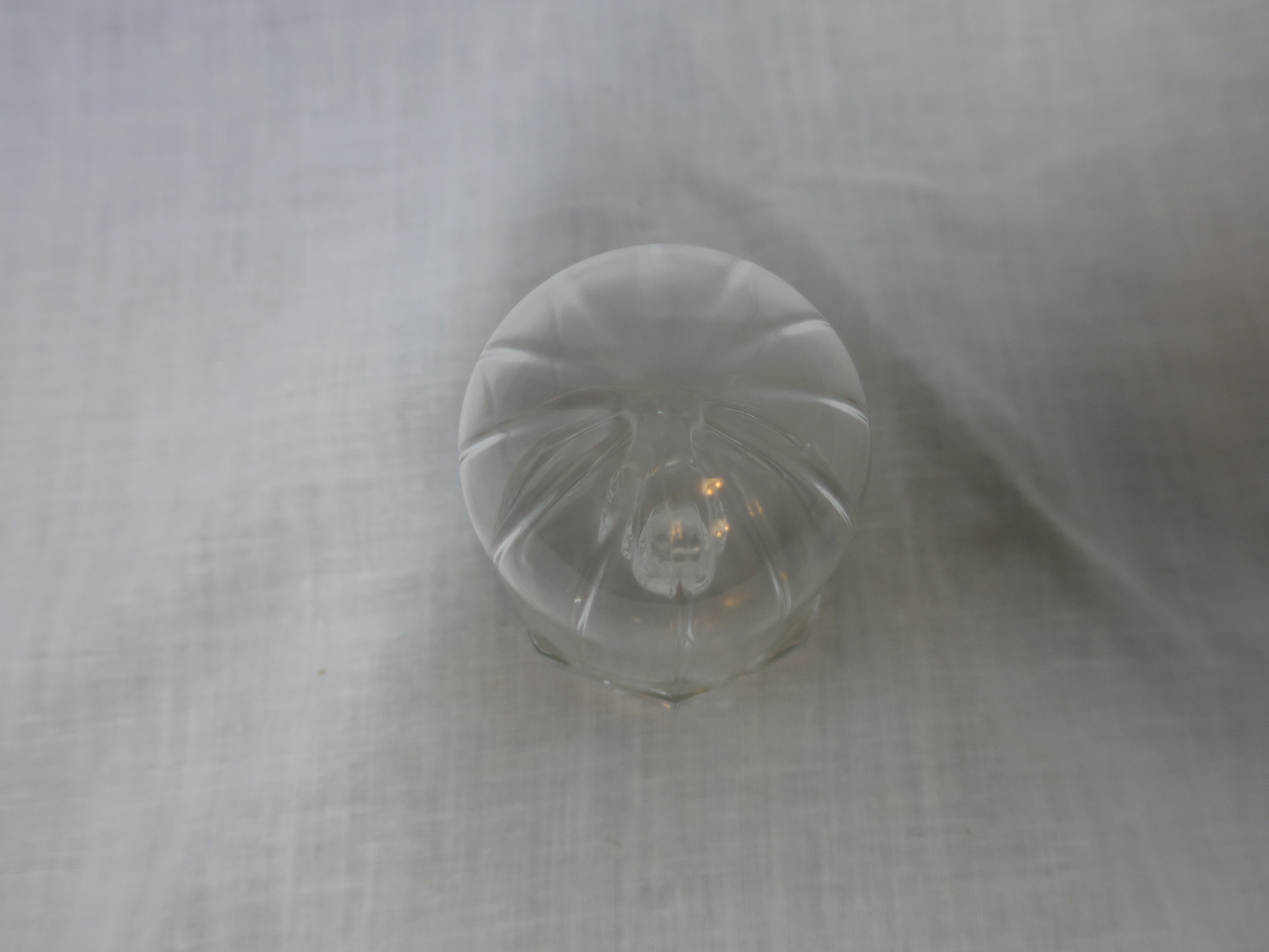 Crystal Bird in Bird Cage Figurine