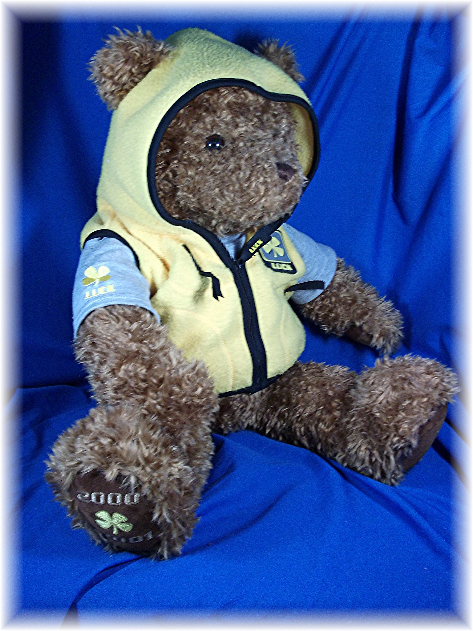 GUND Wish Bear LUCK - 2000