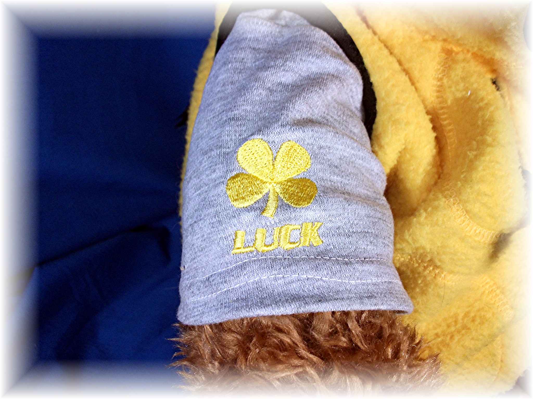 GUND Wish Bear LUCK - 2000