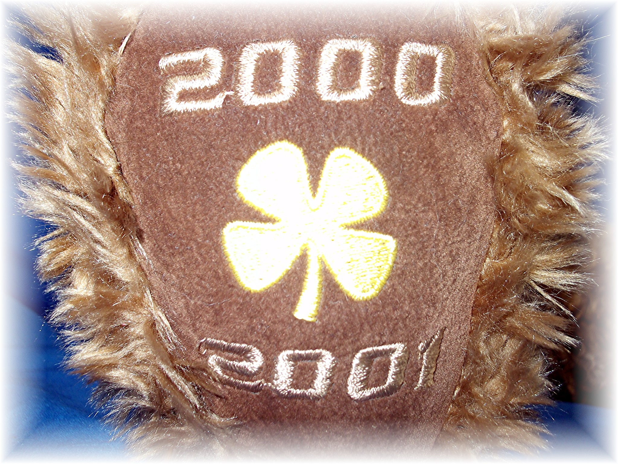 GUND Wish Bear LUCK - 2000