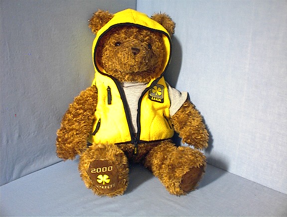 GUND Wish Bear LUCK - 2000