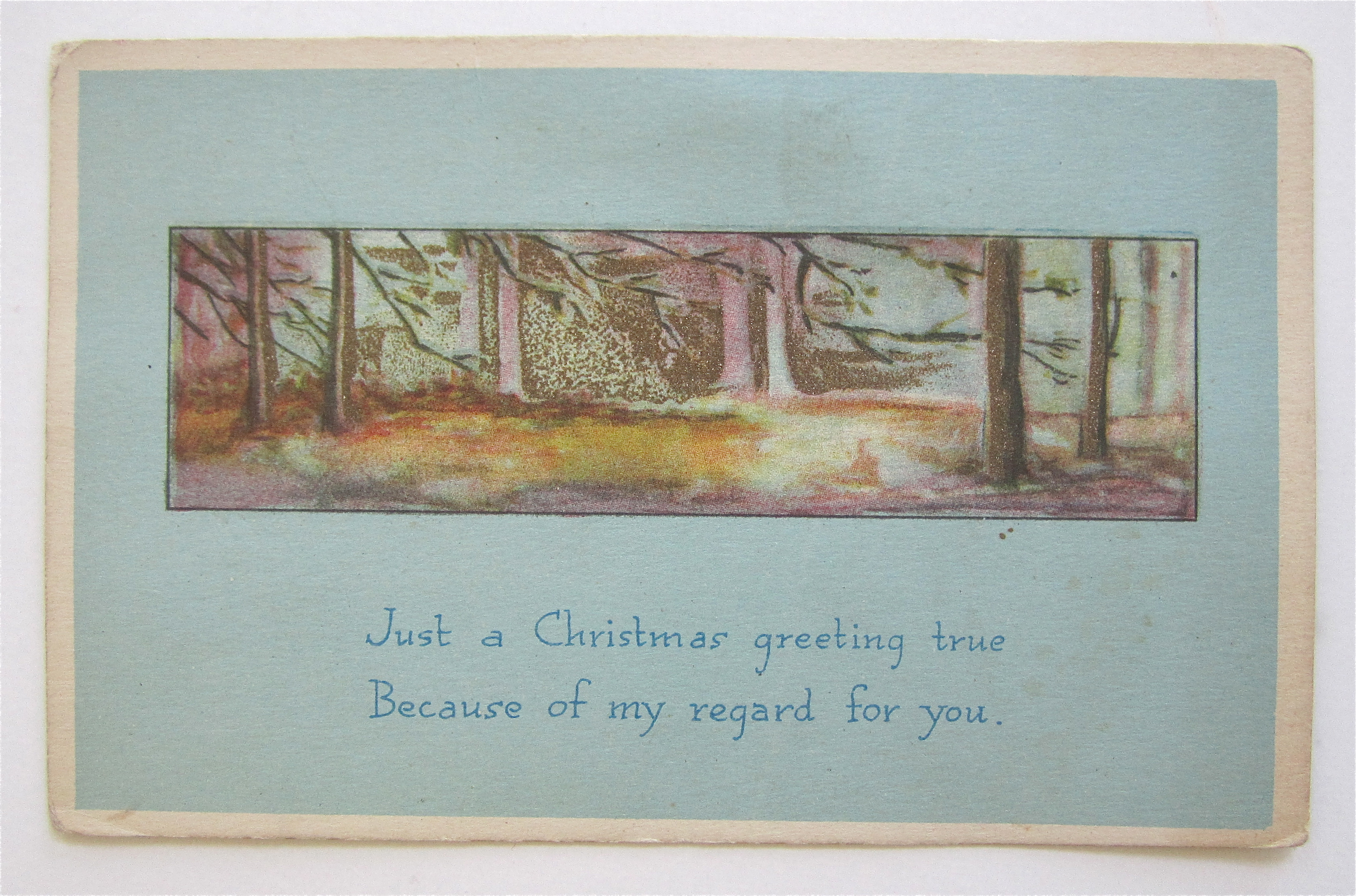 Christmas Greetings Postcard