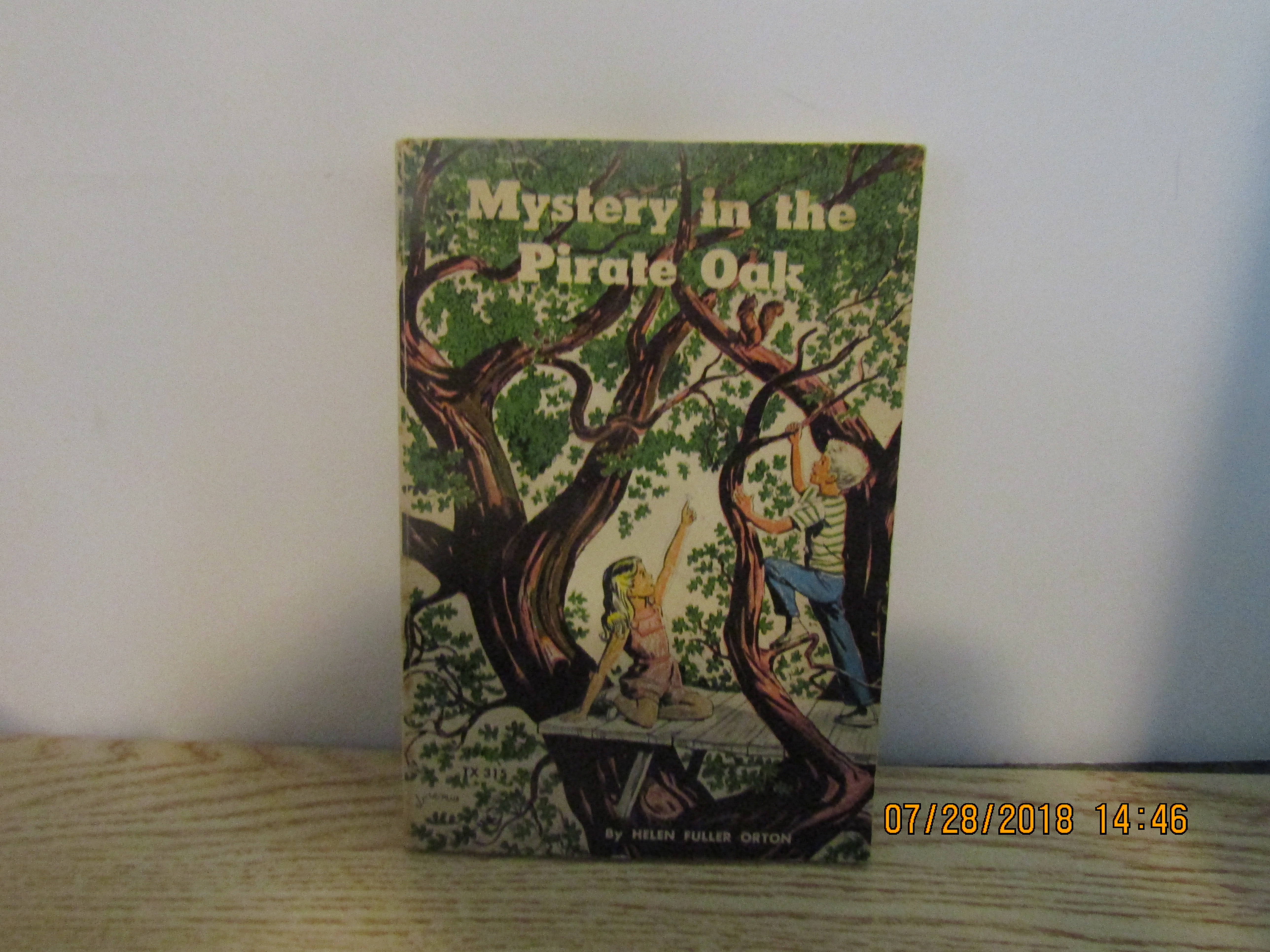 Vintage Book Mystery In The Pirate Oak
