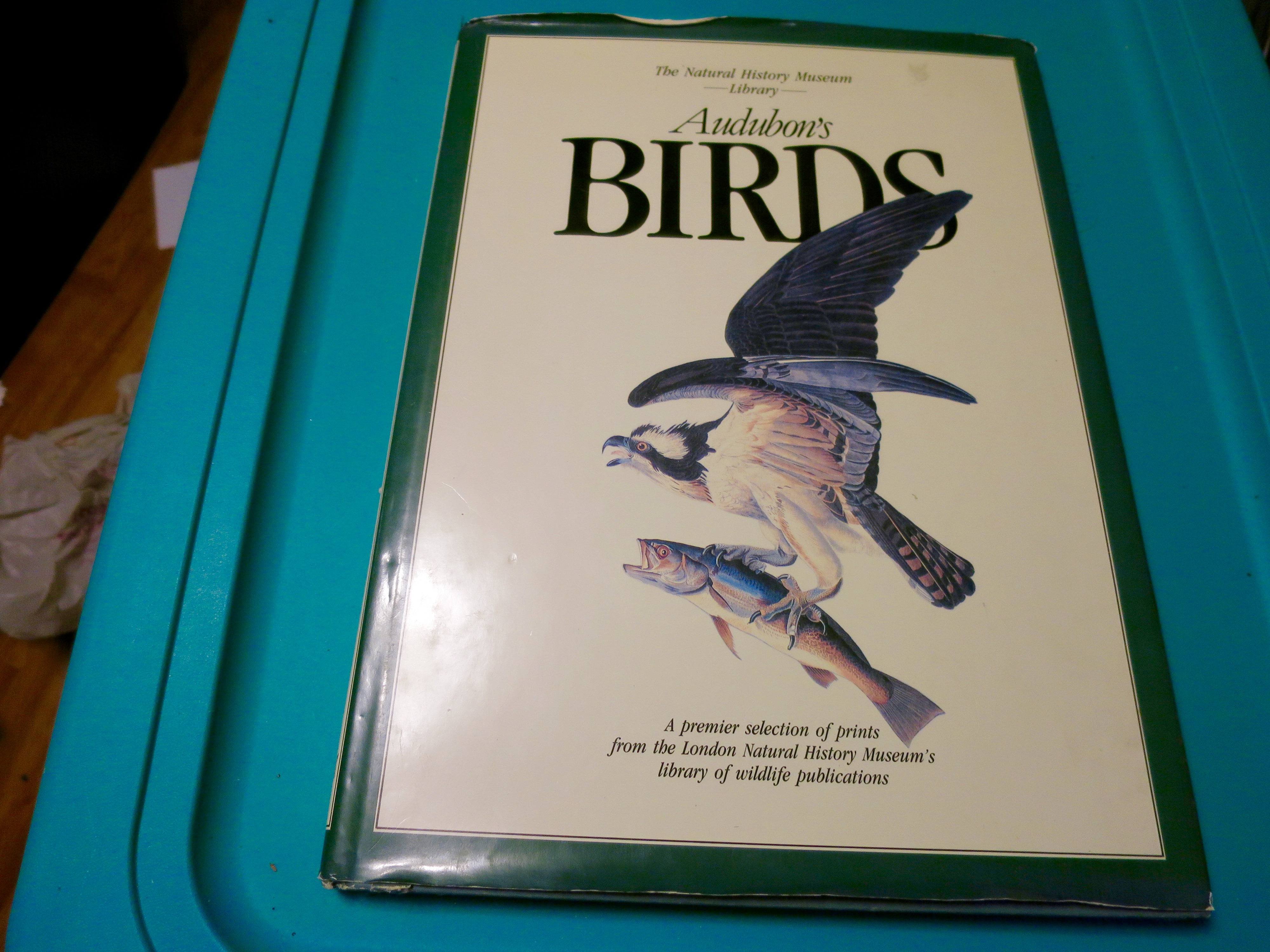 Audubons Birds Book with dust jacket 1991